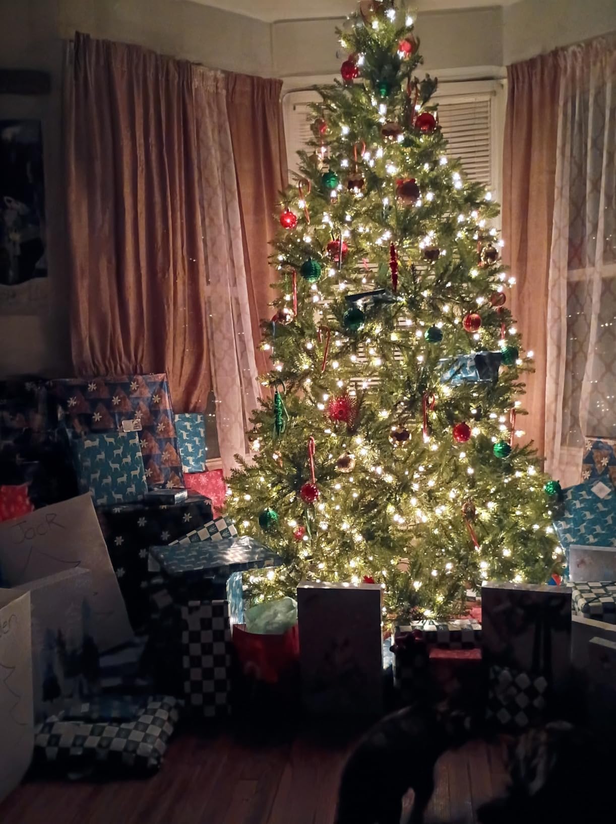 National Tree Company Pre-Lit Artificial Full Christmas Tree, Green, Dunhill Fir, White Lights, Includes Stand, 9 Feet customer photo 1