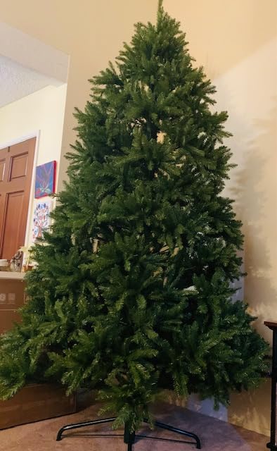 National Tree Company 9 ft Unlit Dunhill Fir Full Artificial Christmas Tree, 4,026 Tips, Includes Stand, Green customer photo 1