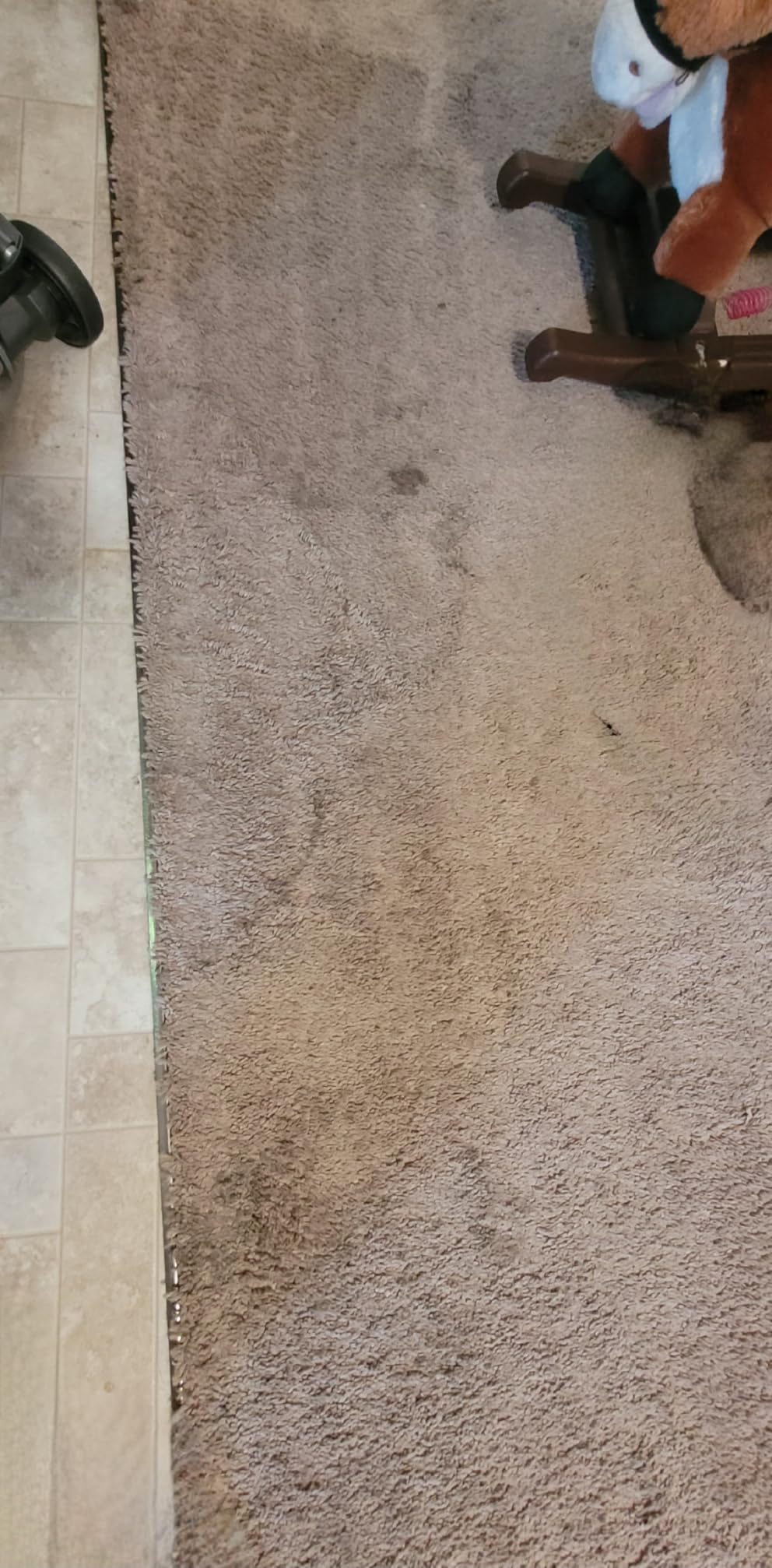 Hoover SmartWash+ Automatic Carpet Cleaner Machine for Carpet and Upholstery, Deep Cleaning Carpet Shampooer Machine customer photo 1