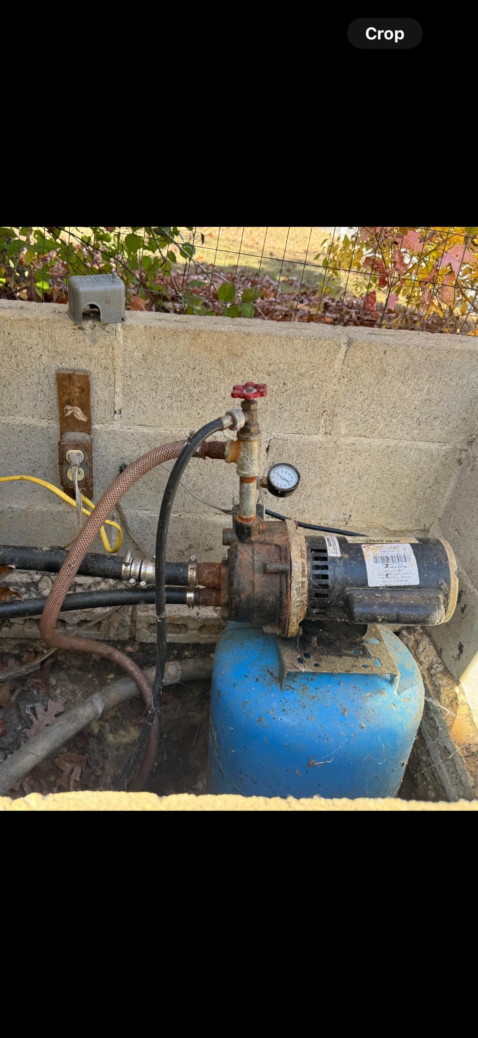 WAYNE CWS100-1 HP Cast Iron Convertible Jet Well Pump - Up to 588 Gallons Per Hour customer photo 1