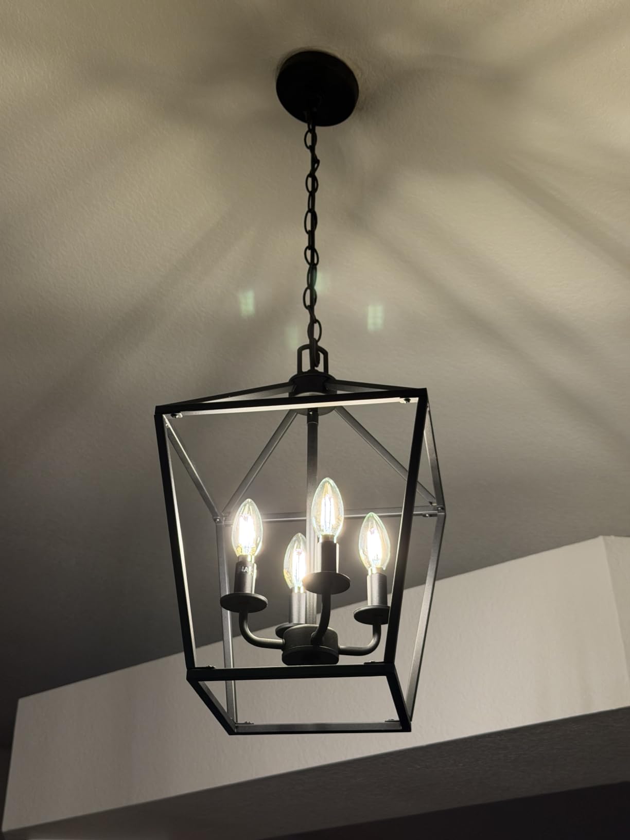 4 Light Chandelier Industrial Ceiling Light Farmhouse Metal Cage customer photo 1