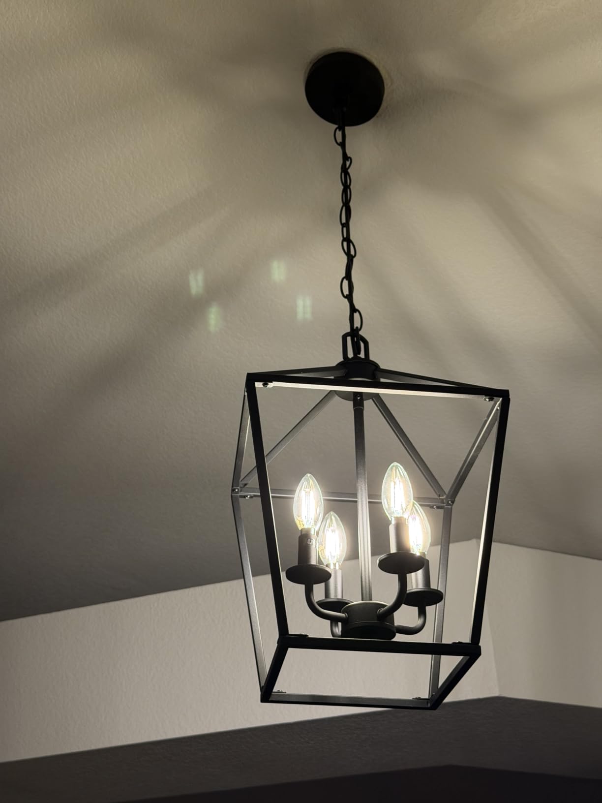 4 Light Chandelier Industrial Ceiling Light Farmhouse Metal Cage customer photo 2