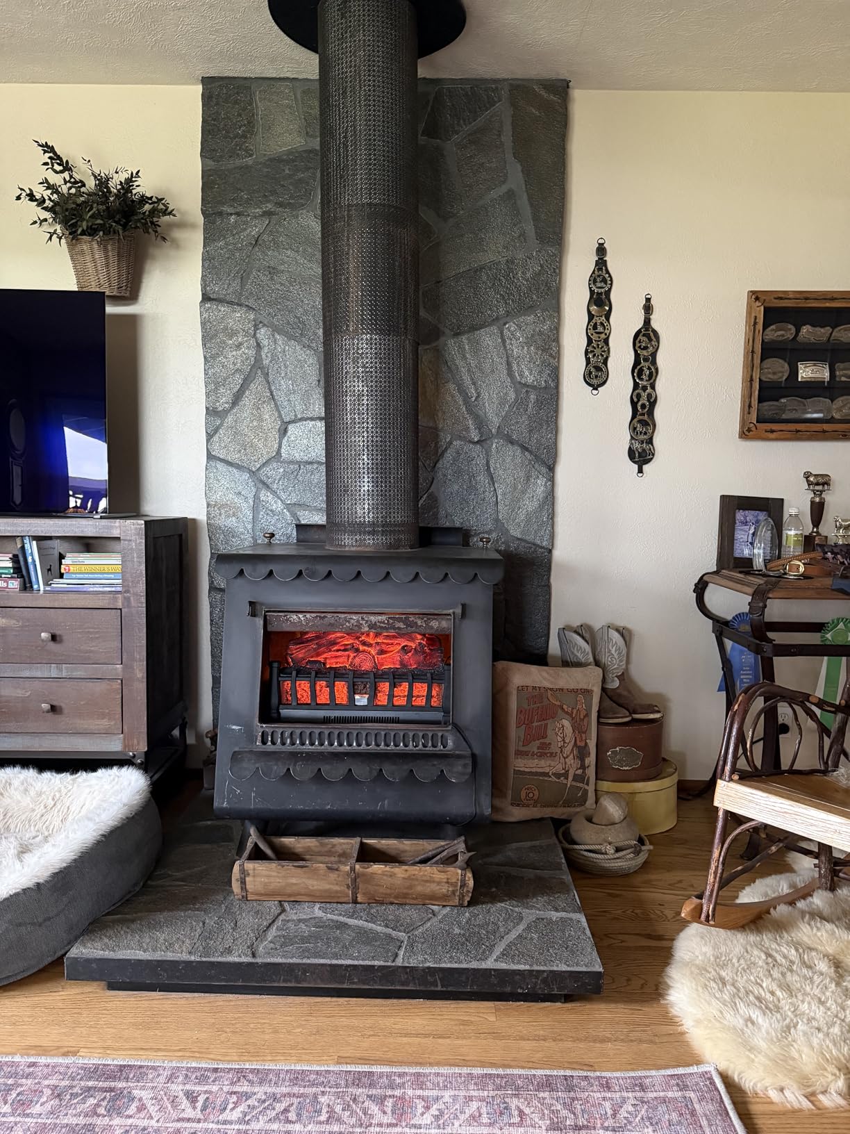 Electric Fireplace Logs Inserts Heater with Infrared Remote Controller 5 Flame Brightness 24H Timer Overheating Protection for Home and Office Decor Black customer photo 2