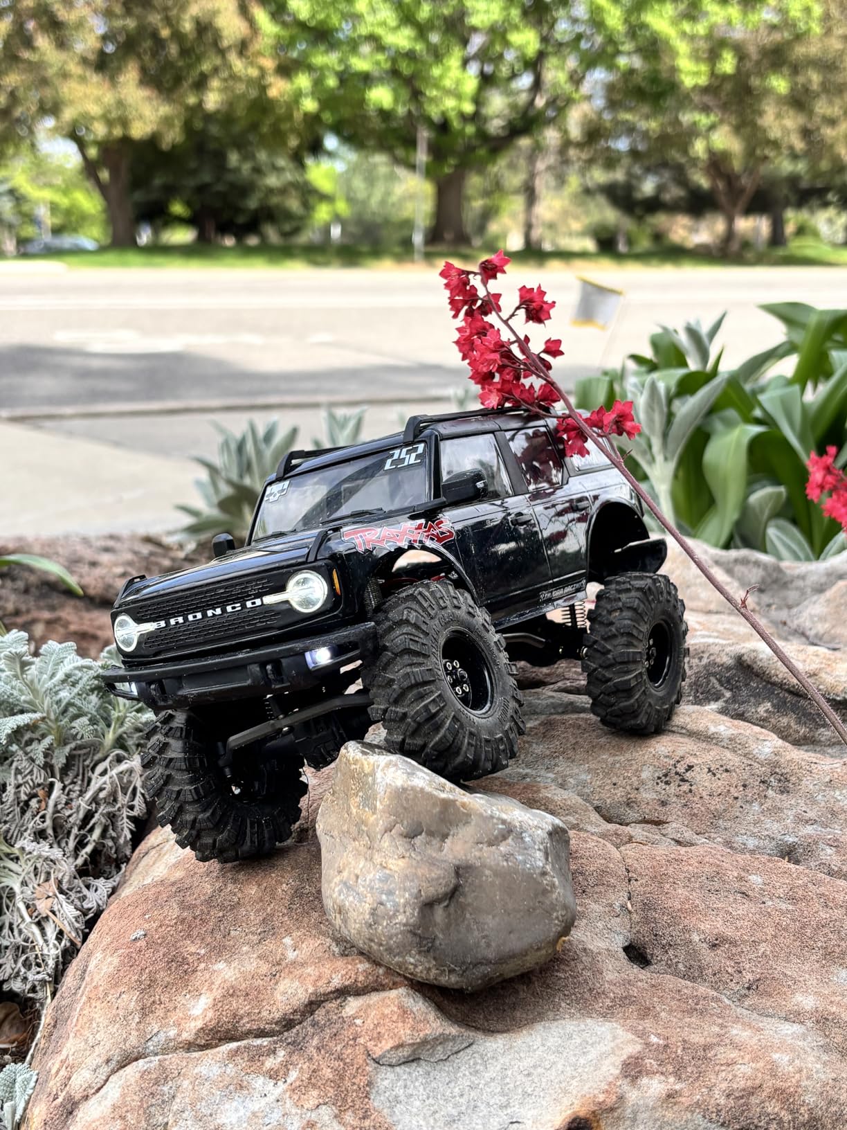Traxxas TRX-4M 4X4 Crawler with Ford Bronco Body (1/18 Scale) customer photo 1