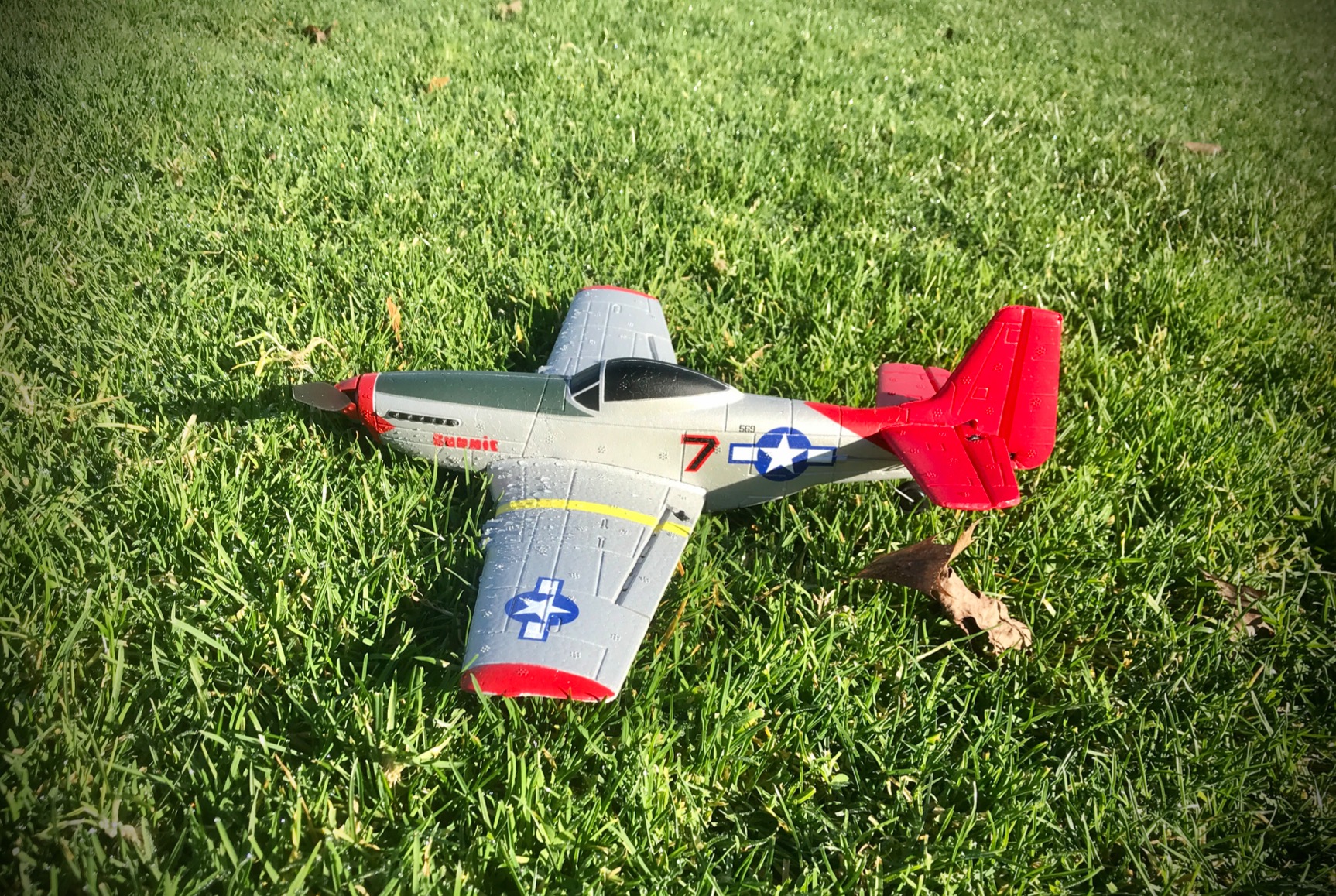 volantexrc RC Plane, 4 Channel Remote Control Airplane Fighter RTF with 6-Axis Gyro, 3 Modes & Aerobatics Easy to Fly, 2.4GHz Radio Controlled Aircraft for Beginners & Adults, P51D Mustang customer photo 2