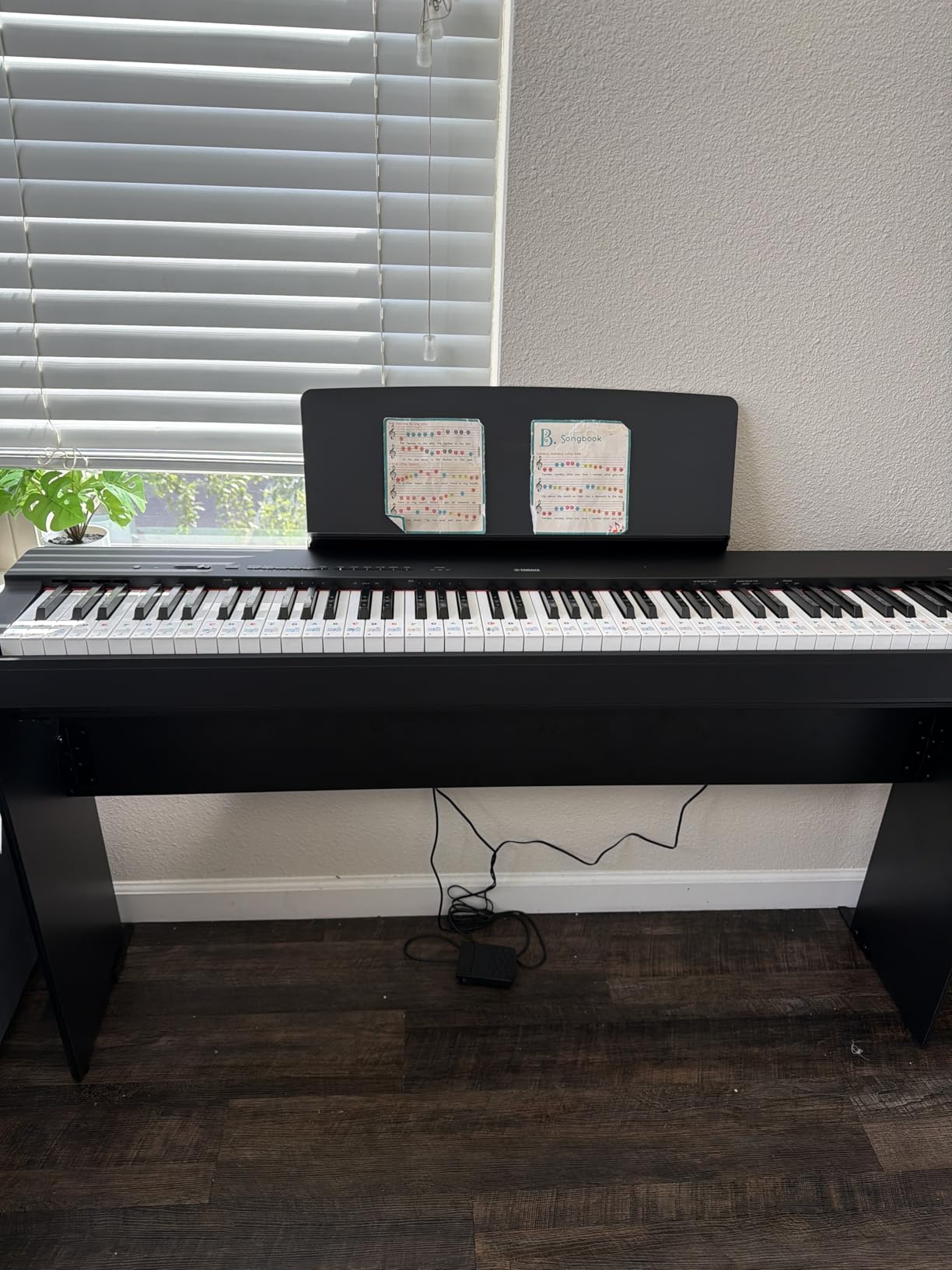 Yamaha P225 88-Key Digital Piano with Weighted Keys, Portable Design, Keyboard, Music Rest, Sustain Foot Switch, and Built-In Speakers, White (P225WH) customer photo 2