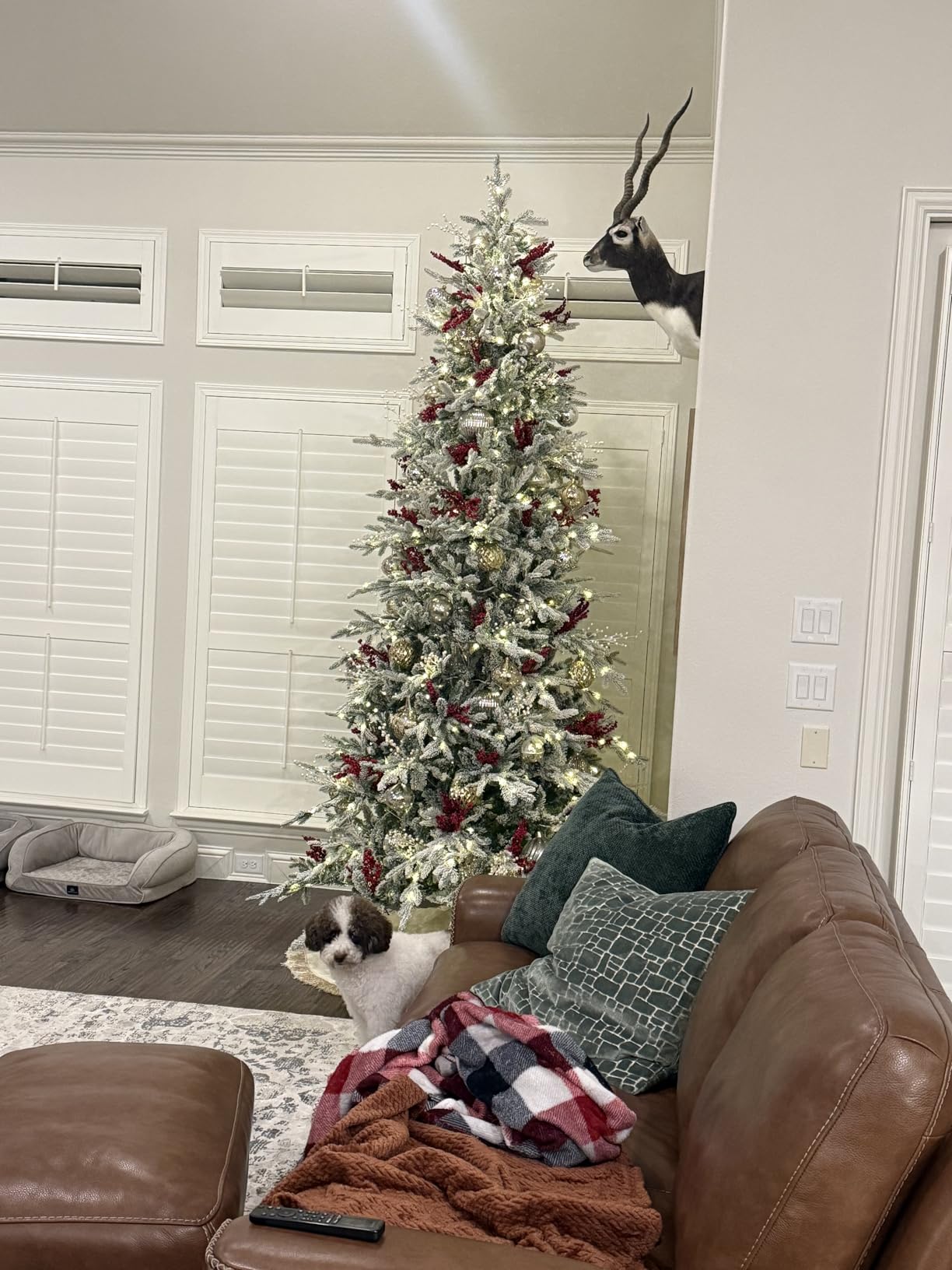 Best Choice Products Lighted Aspen Christmas Tree, 7.5ft Flocked Artificial Noble Fir, Pre-Lit White & Multicolored LED Lights Premium Holiday Décor - Green customer photo 2