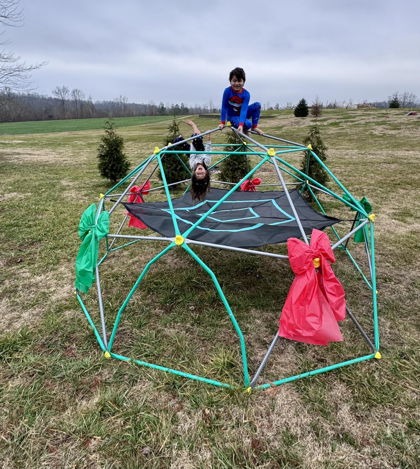 Merax 13FT Climbing Dome with Hammock, Outdoor Geometric Dome Climber, 1000LB Capacity customer photo 1