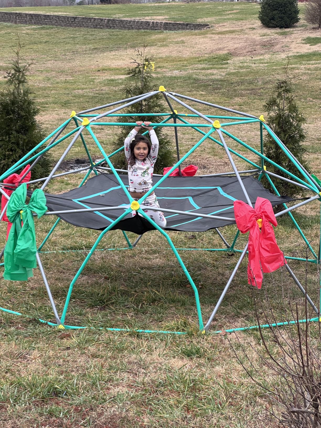 Merax 13FT Climbing Dome with Hammock, Outdoor Geometric Dome Climber, 1000LB Capacity customer photo 2