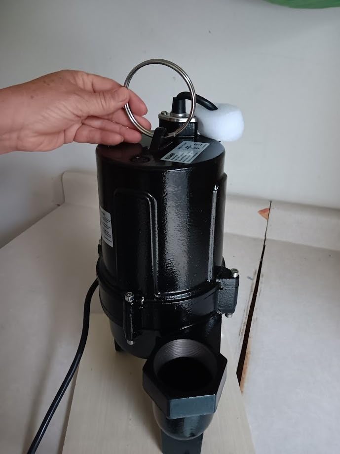 WASSERMANN 3/4 HP Sewage Pump 2 inch Discharge with Auto Float Switch, 115V 7200 GPH Cast Iron Submersible Sewage Pump, Sump Pump for Basement Sump Basin Sewer Well 2