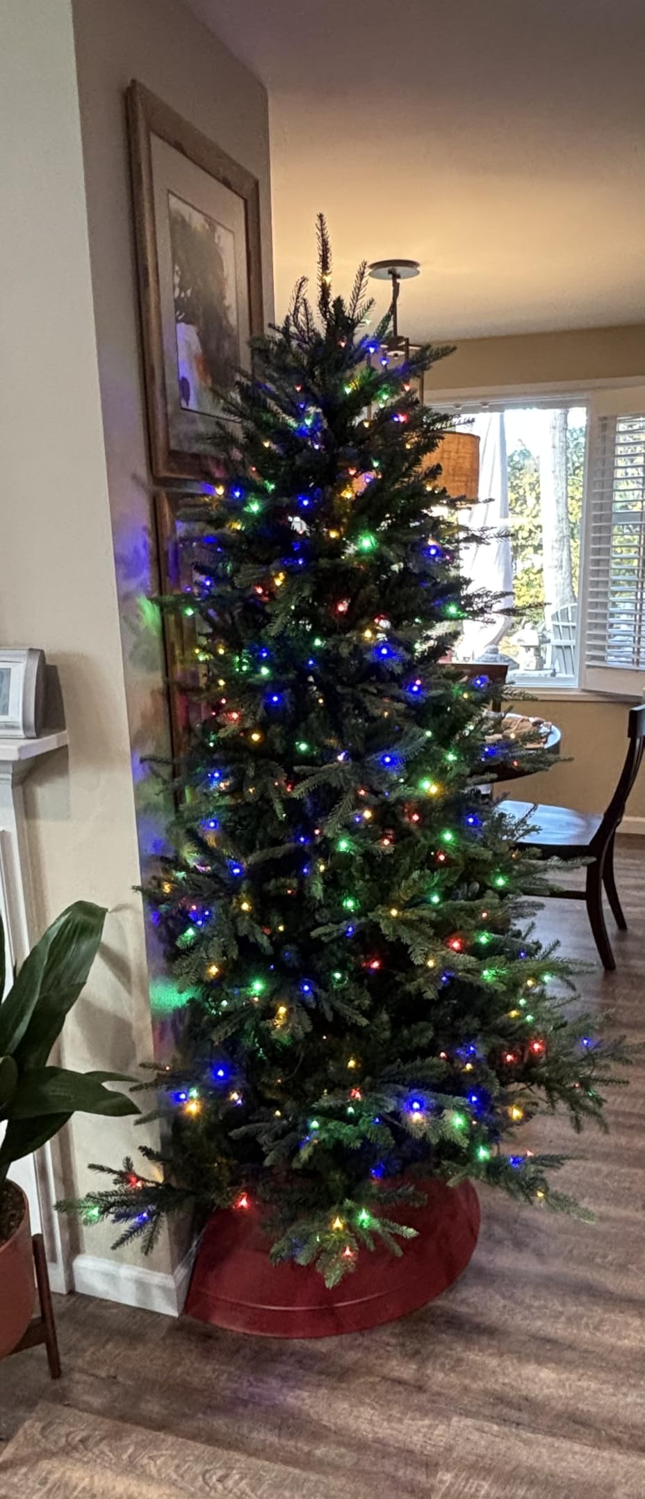 Best Choice Products Full Aspen Christmas Tree, 12ft Pre-lit Realistic Noble Fir w/ 1,800 Glowing Micro LED Lights, 2-in-1 White & Multicolor customer photo 1