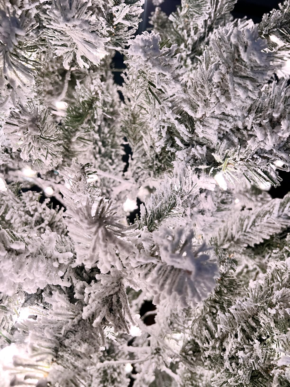 National Tree Company 7.5 ft Pre-Lit Flocked Acacia Artificial Christmas Tree, 550 Clear Lights, 1,300 Branch Tips, Includes Stand, Green customer photo 2