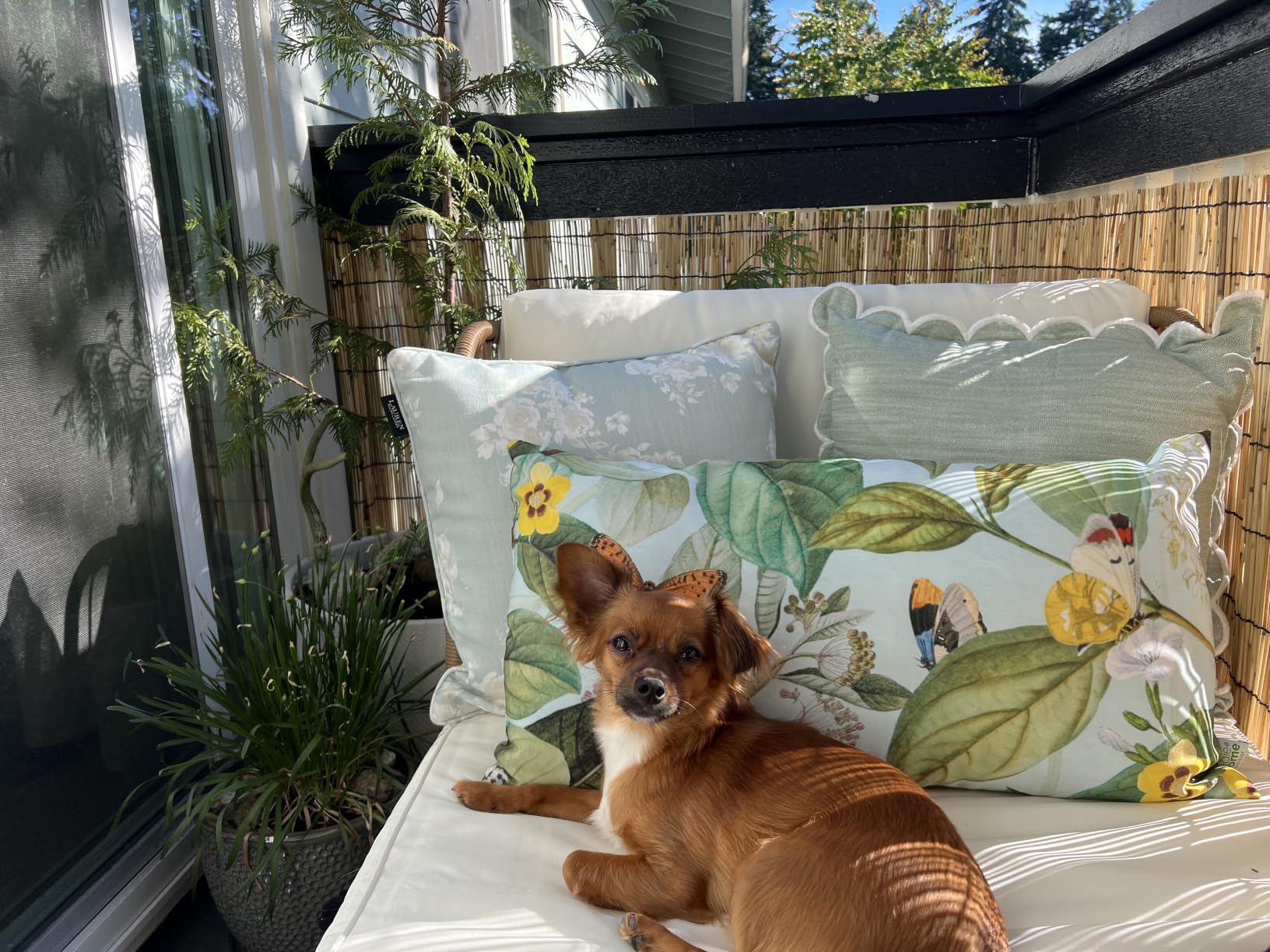 Tangkula Patio Rattan Daybed, Boho Outdoor Wicker Lounge Sofa with Seat & Back Cushions, 2-Seat Bench Sun Lounger Chair with Robust Metal Legs for Deck, Backyard, Porch, Poolside (1, Off White) customer photo 2