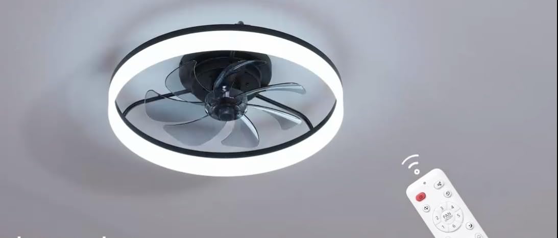 Ceiling Fans with Lights and Remote, 20