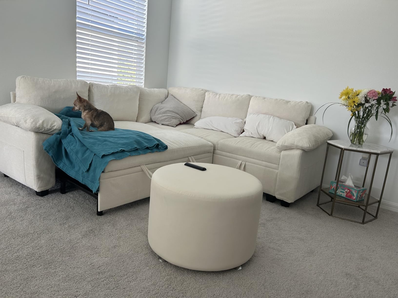 85 Inch Modular Sectional Sleeper Sofa with Pull Out Bed, L Shaped 5 Seat Sectional Couch with Storage, Modern Chenille Cloud Couch, Convertible Sectional Couches for Living Room, Apartment, Gray customer photo 2