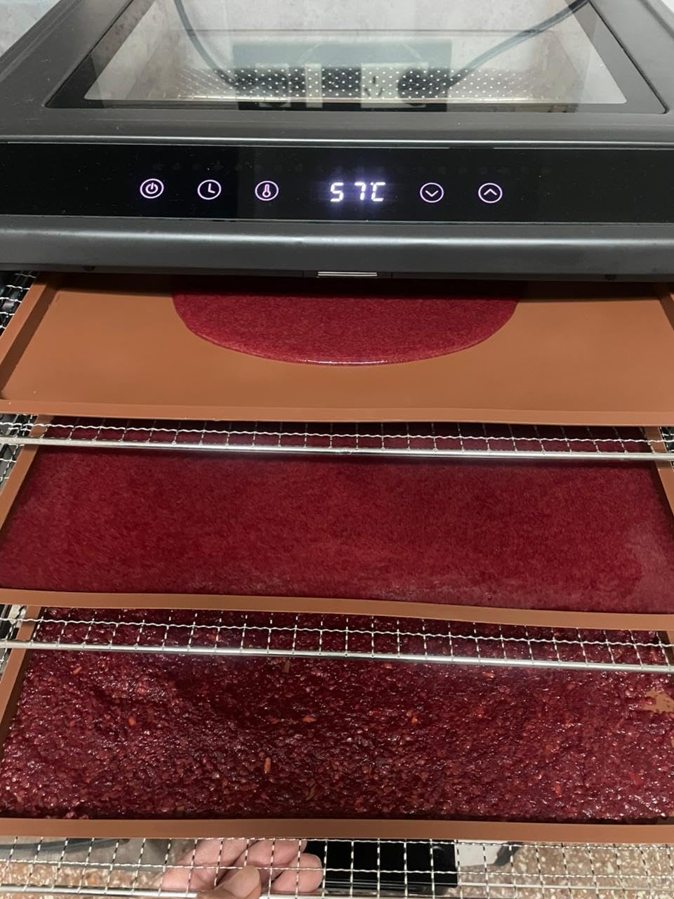 Excalibur Electric Food Dehydrator Performance Series 10-Tray with Adjustable Temperature Control Includes Stainless Steel Drying Trays Glass Door Top View Window and LED Display Progress Bar, Black customer photo 2