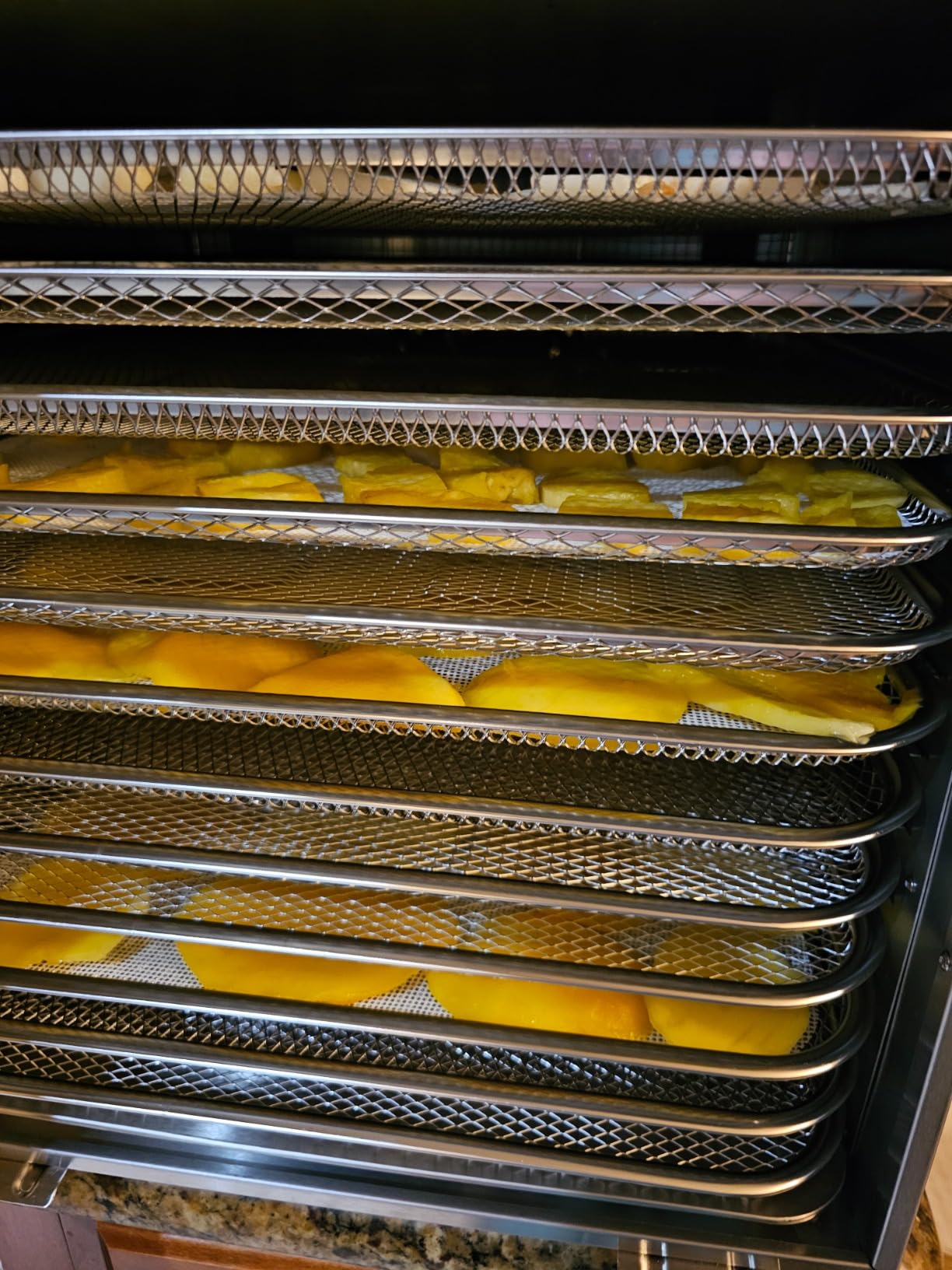 Commercial Large 12 Trays Food Dehydrator, Usable Area up to 22.67ft², 1200W Full Stainless Steel Dryer Machine, up to 190℉ Temperature, for Meat, Fruit, Veggies, Beef, Herbs, Pet Foods customer photo 2
