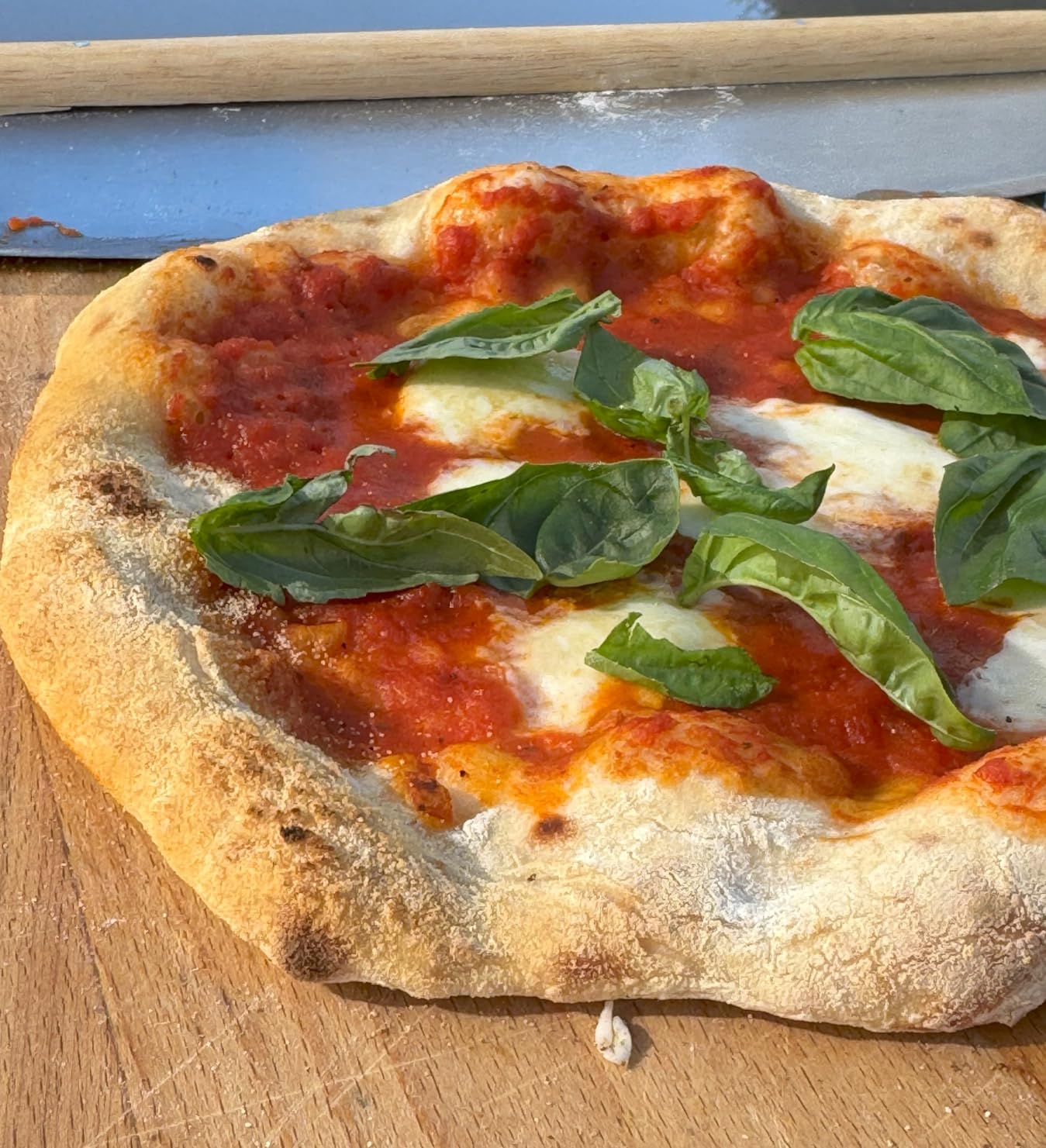 Ninja Artisan Electric Outdoor Pizza Oven with Stone | 12-inch Pizza in 3-minutes | 700F Max Temp | 5-in-1 Functionality - Pizza, Bake, Broil, Proof & Warm | Makes Full Meals | Gray | MO201 customer photo 1