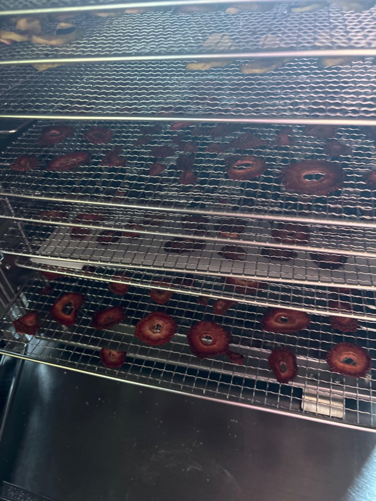 Commercial Large 12 Trays Food Dehydrator Machine, 11.6ft² 1100W | Stainless Steel, 86-194°F, 48H Timer, 5 Presets, 360° Airflow, Quiet Food Dryer for Jerky, Meat, Fruit, Veggies, Beef,Herbs customer photo 1