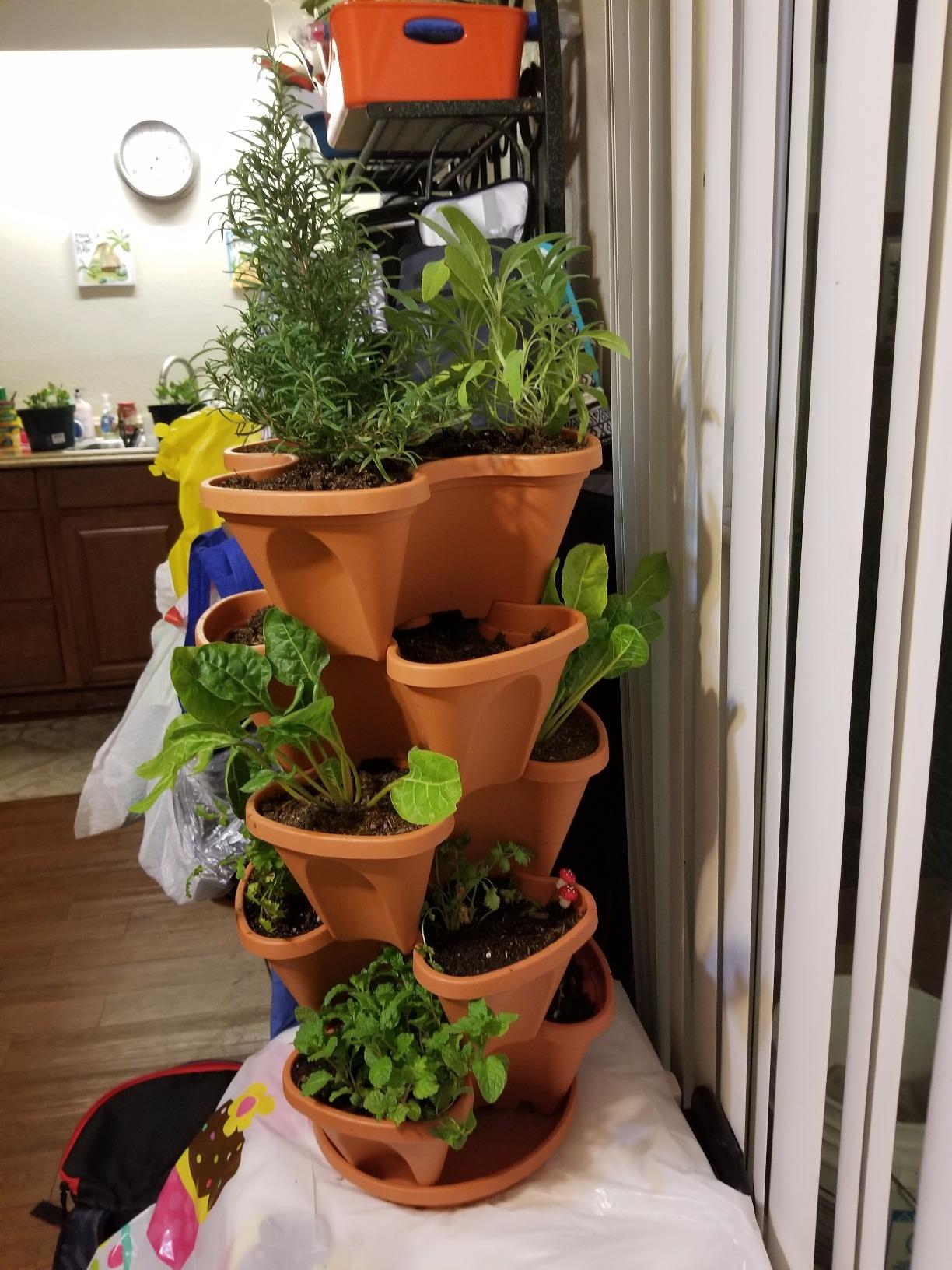 3 Tier Stacking Planter-Flower, Herb, Stackable Garden, Vegetable-Self-Watering-Indoor/Outdoor (Terracotta) customer photo 2
