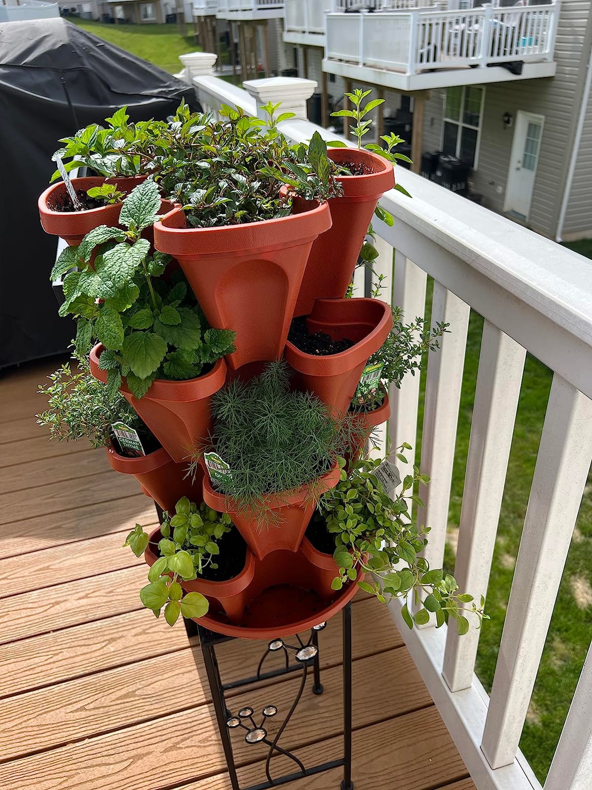 5 Tier Stackable Strawberry, Herb, Flower, and Vegetable Planter - Vertical Garden Indoor/Outdoor customer photo 2