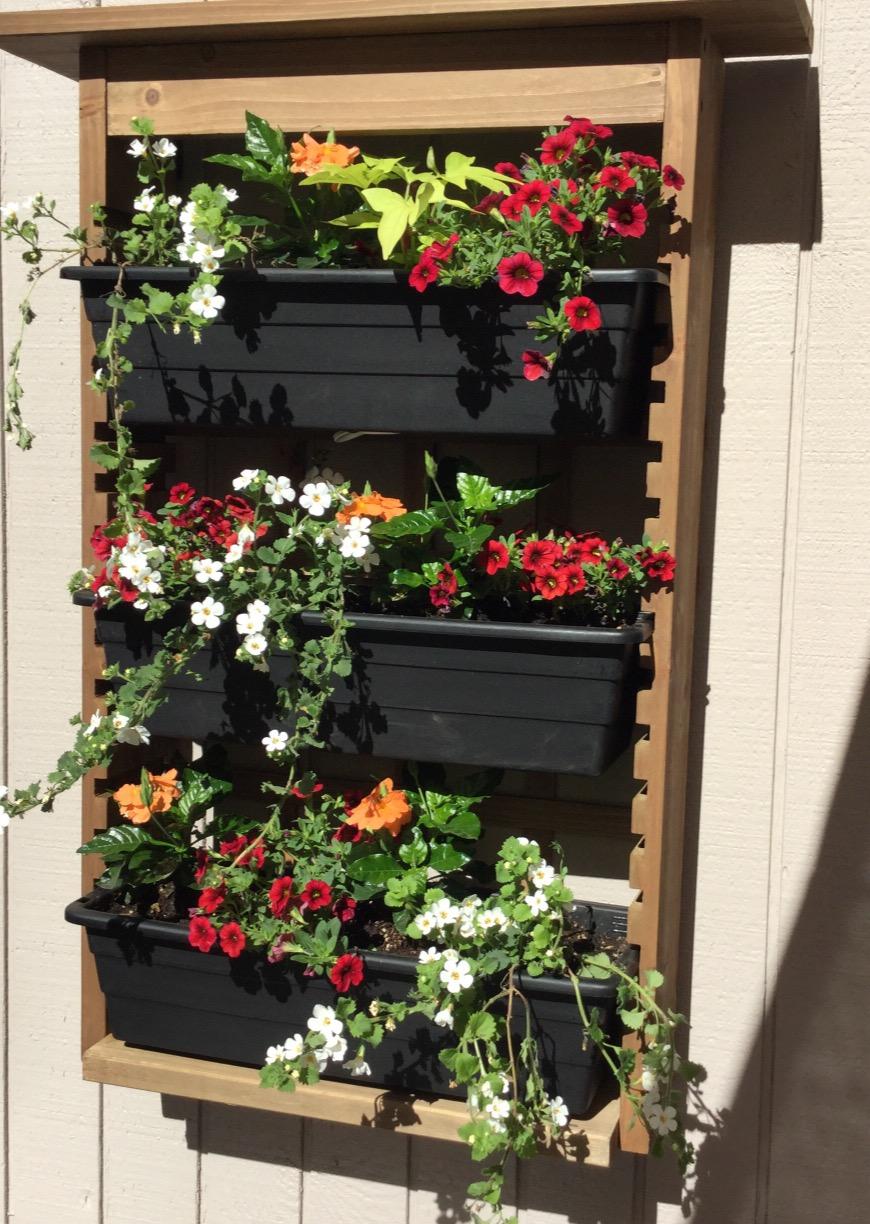 Algreen Wall Planter - 3-Tier with Drain - 11.5 x 32.5 x 8 in - Wood customer photo 1