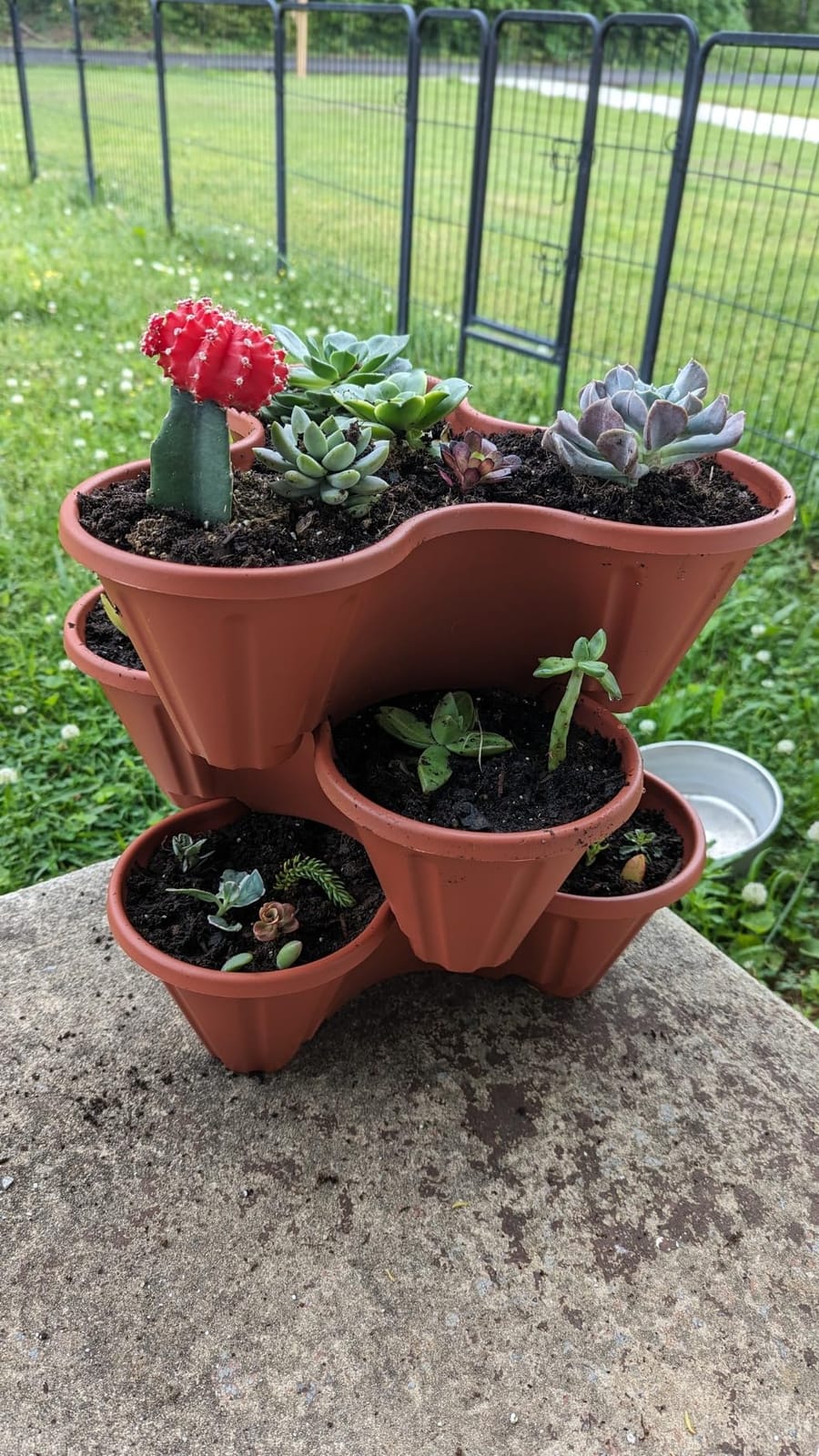 Stacking Planter Tower- 3-Tier Space Saving Flower Pots- Set of 3 Indoor/Outdoor Vertical Herb & Vegetable Garden by Pure Garden (Terracotta Colored) customer photo 1