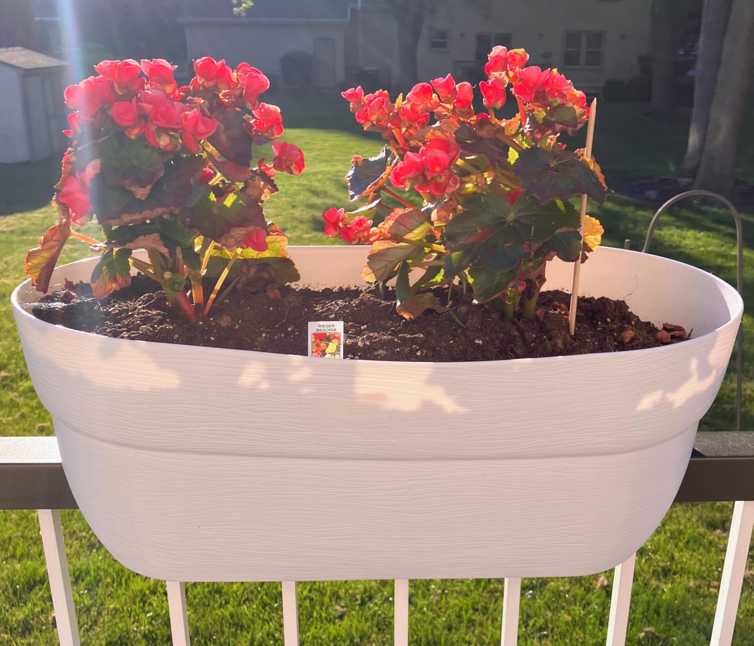 EMSCO Group Bloomers Railing Planter with Drainage Holes – 24