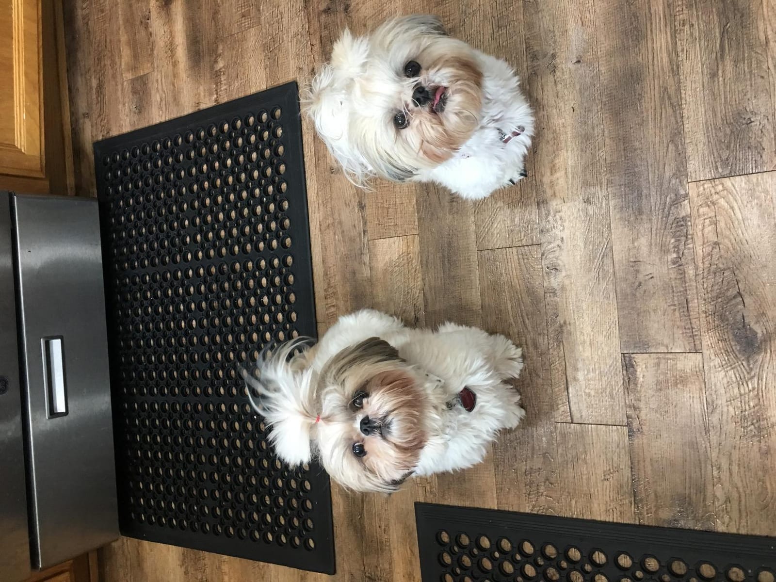 Envelor Anti Fatigue Bar Mat, Non Slip Kitchen Floor Door Mat, 24 x 36 in customer photo 1