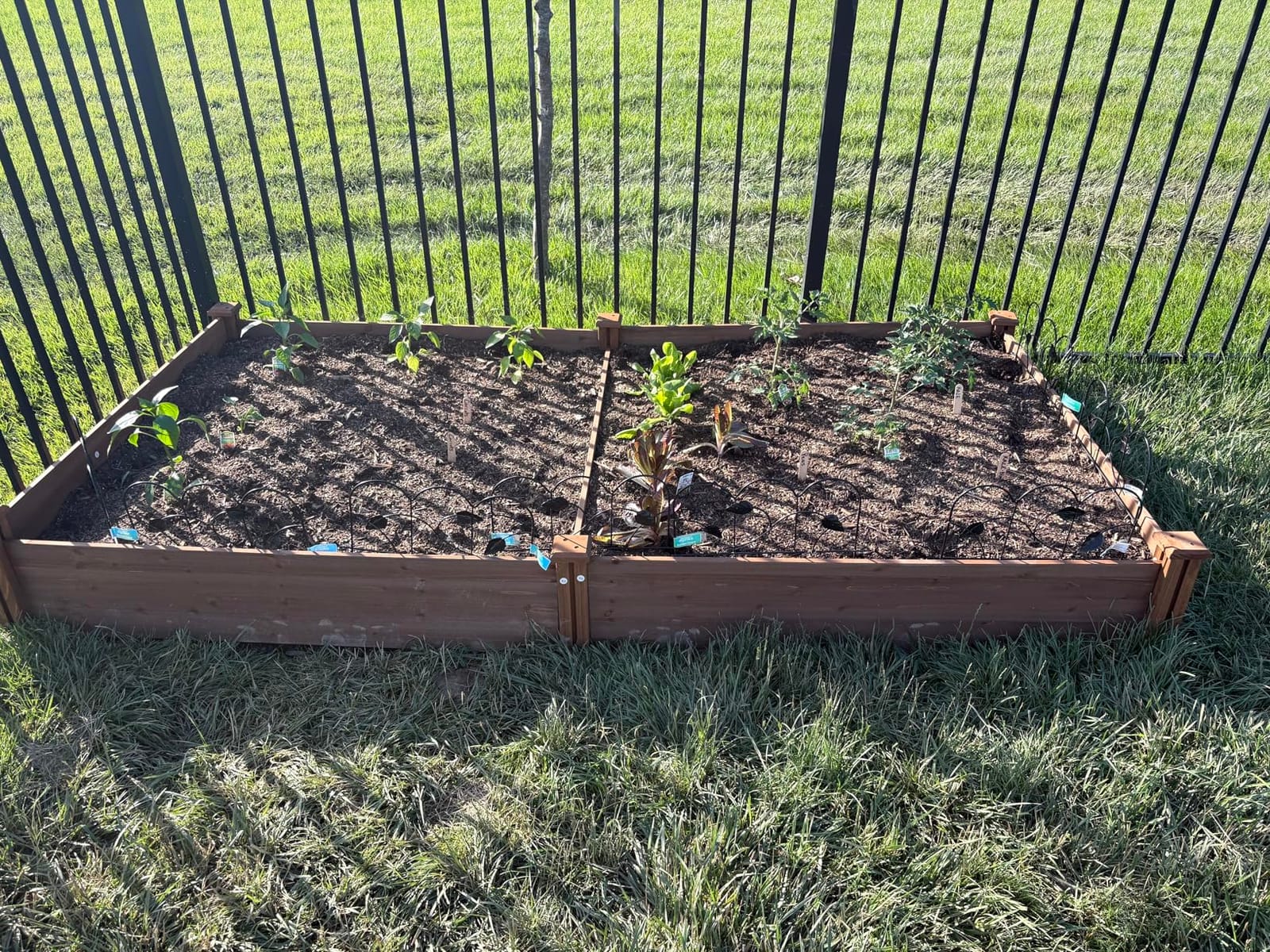 Yaheetech Wooden Raised Garden Bed Outdoor Planter Box, Wood customer photo 1