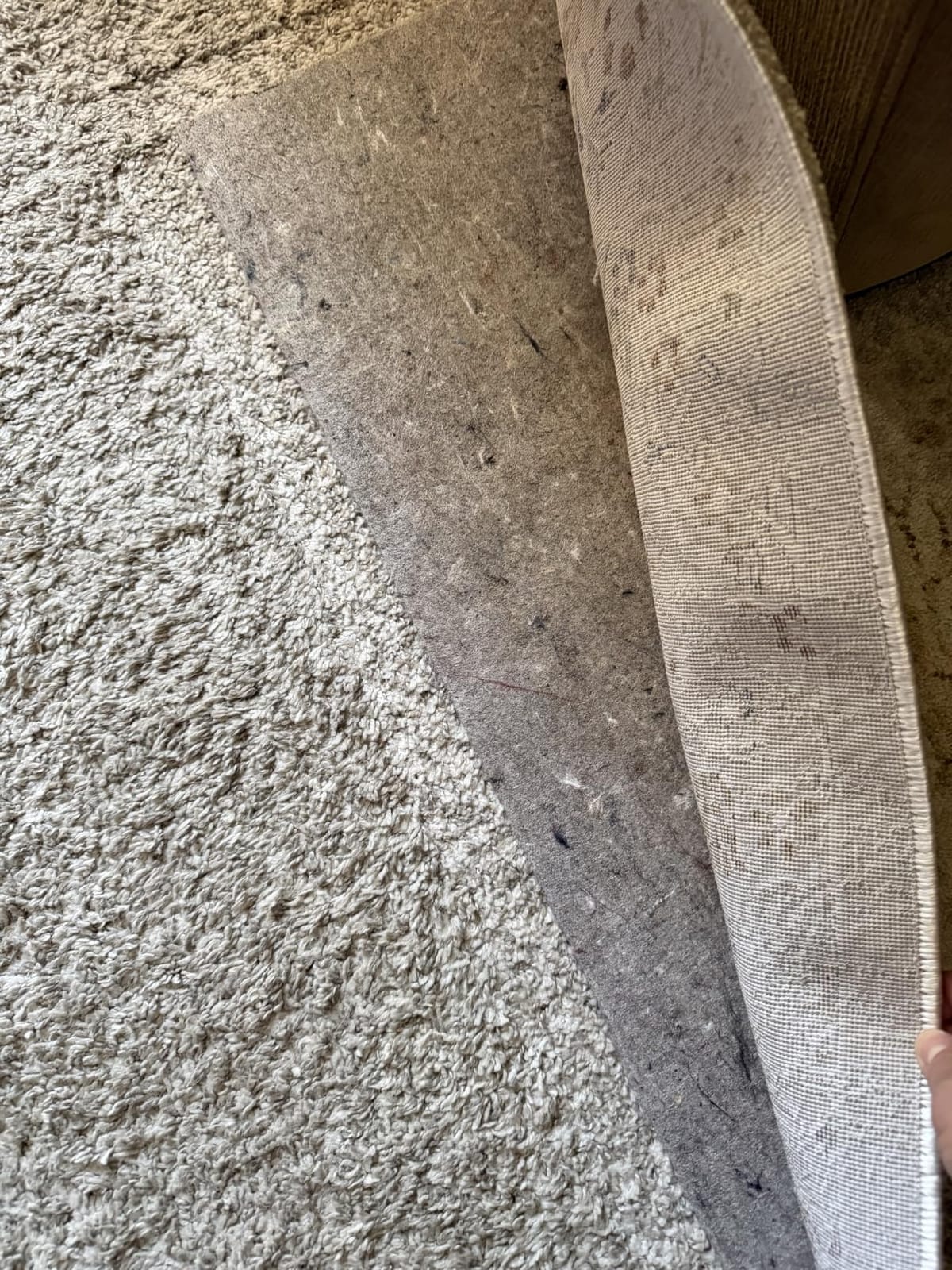 Mohawk Home Felt Rug Pad 8' x 10' - 1/4 Inch Thick Cushion for Area Rugs, Protective Underlay for Hardwood Floors, Comfort and Insulation – Felt Only Pad customer photo 1