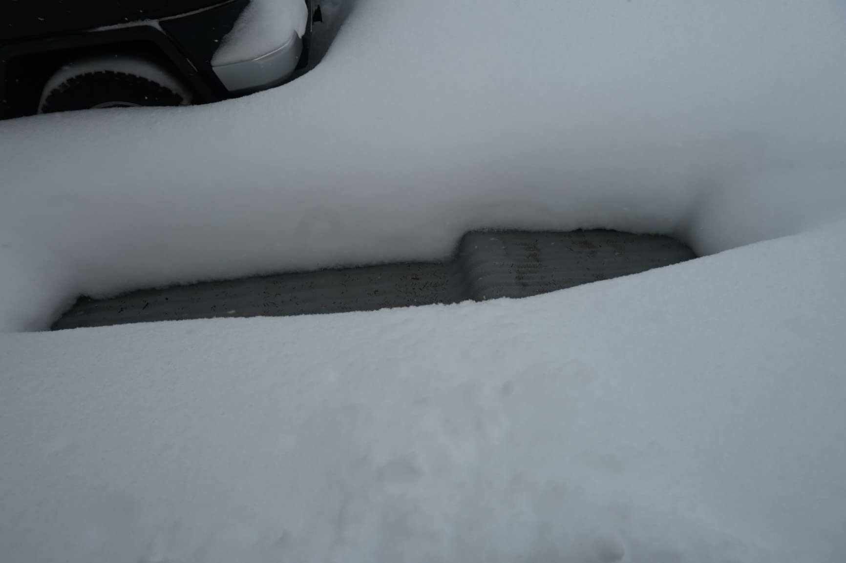 RHS Electric Heated Snow Melting Mats, 30 in x 10 ft Commercial Non-Slip customer photo 1