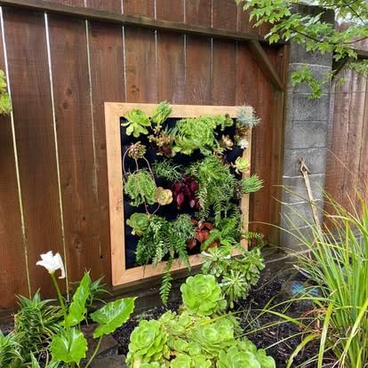 Ogrmar 36 Pockets Wall Planter Breathable Vertical Garden Planter Grow Bag | Plant Wall Hanging Pockets for herbs, flowers, vegetables&strawberries, Felt fabric, easy hanging for indoor and outdoor use customer photo 1