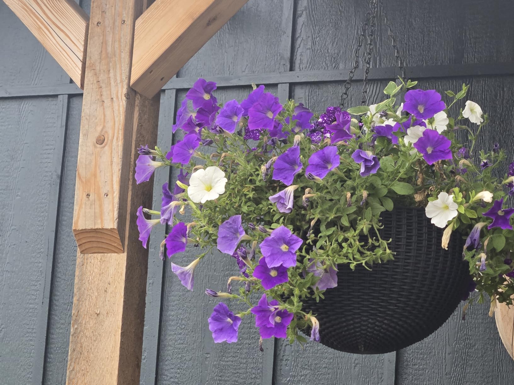 Keter Resin Rattan Set of 2 Round Hanging Planter Baskets for Indoor and Outdoor Plants-Perfect for Porches and Patio Decor, Graphite customer photo 2