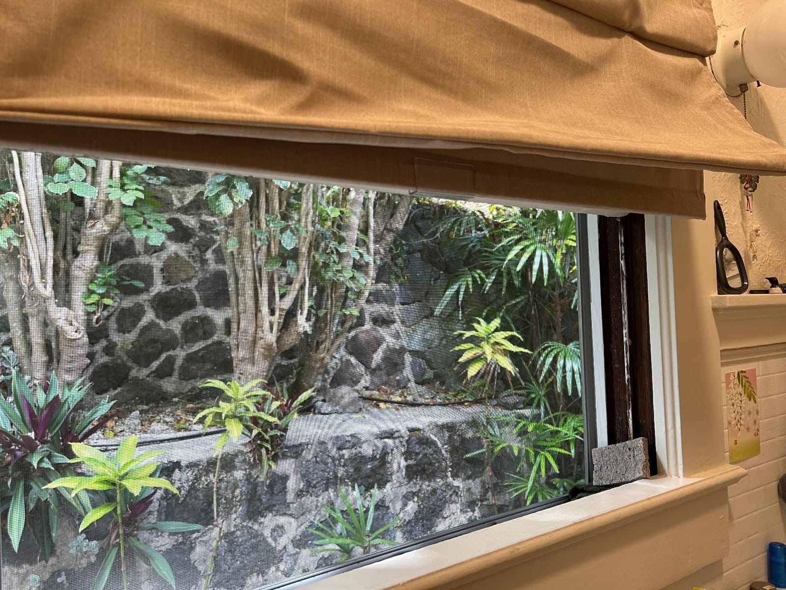 Chicology Cordless Roman Window Shade, Belgian Flax, 34