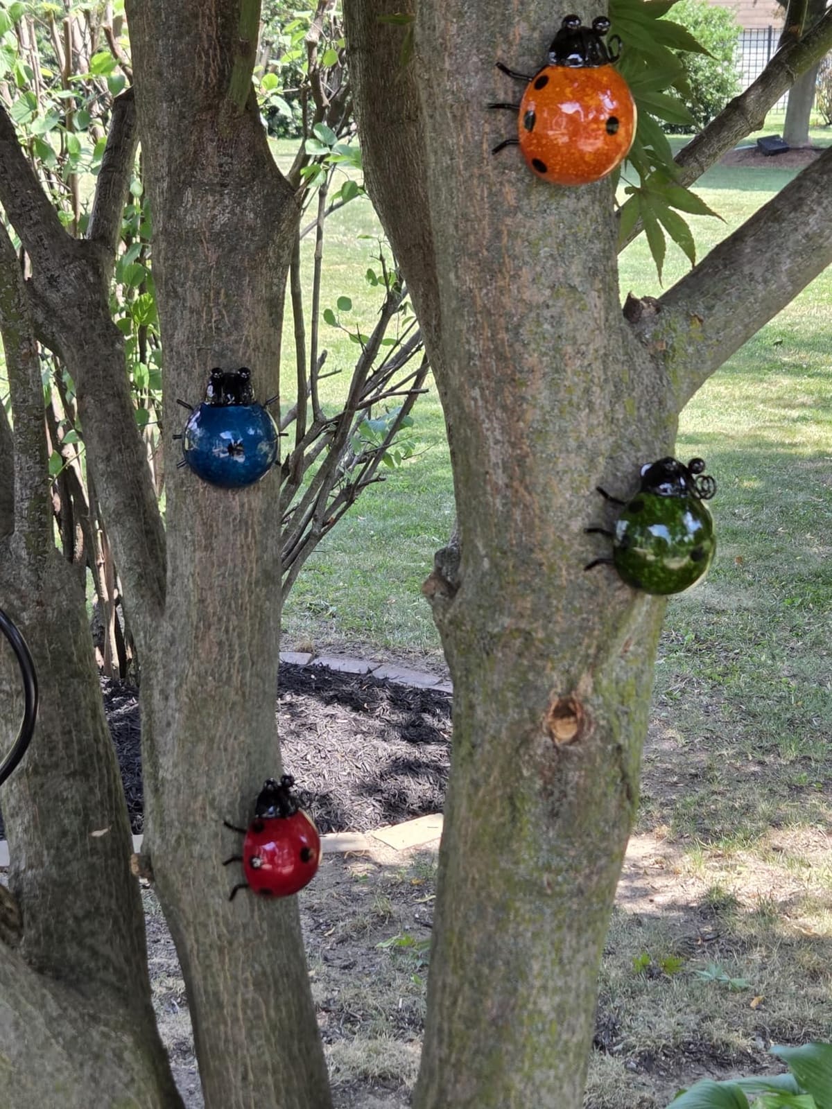 Metal Garden Wall Art Decorative Set of 4 Cute Ladybugs customer photo 2