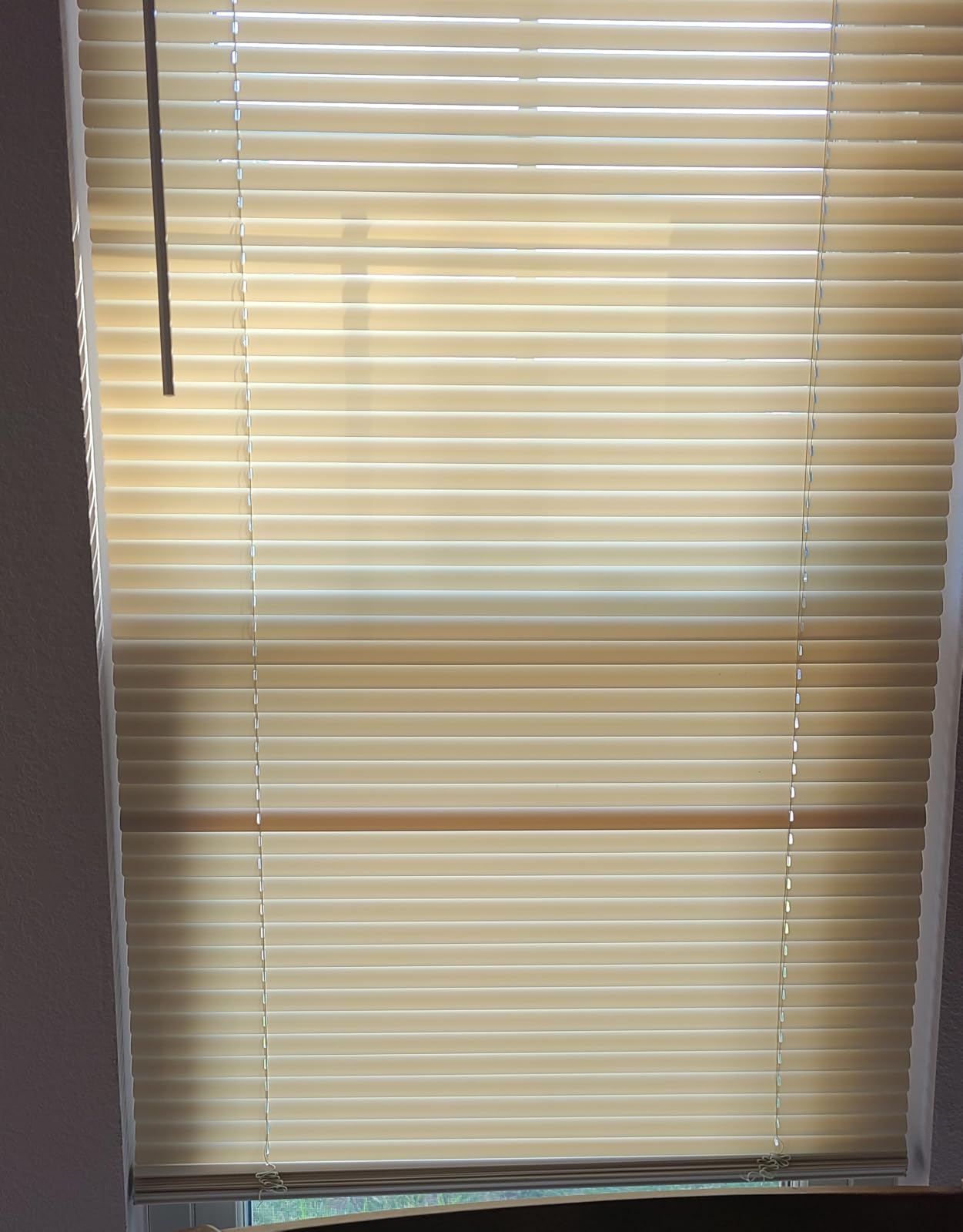 Cordless Light Filtering Mini Blind, 22 x 64 in, Pearl White customer photo 2