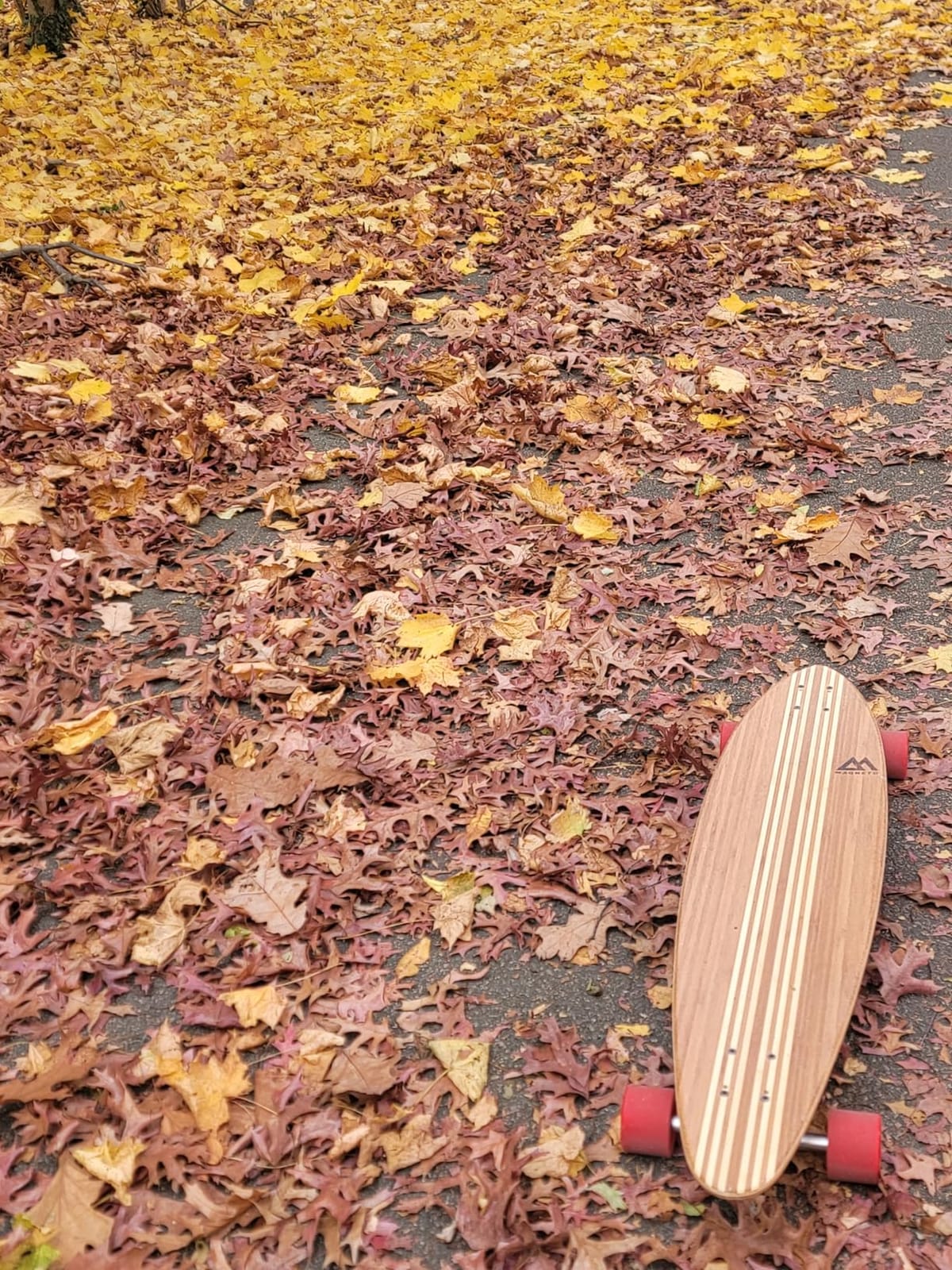 Magneto Longboards Bamboo Longboards for Cruising, Carving, Free-Style, Downhill and Dancing (Bamboo Drop & Fiberglass Through Longboard) customer photo 1