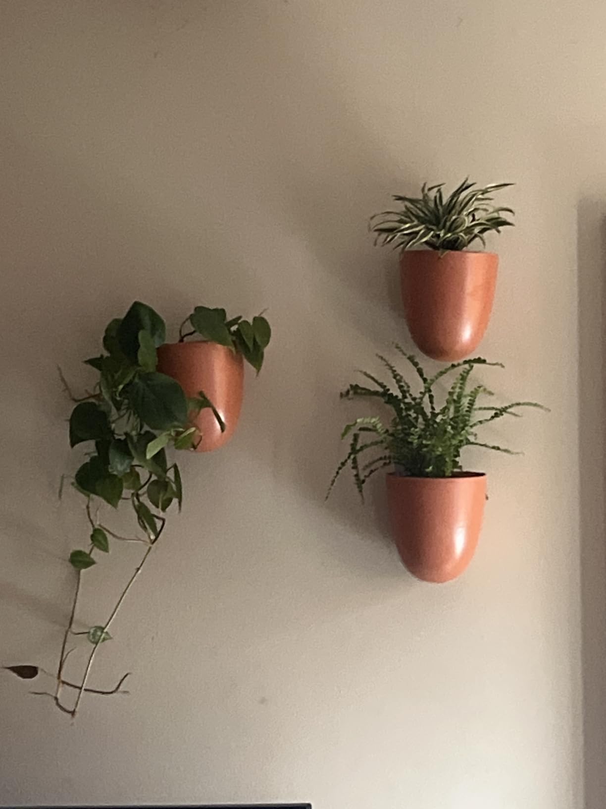 Make Good PlantPod Luxe - Self-Watering Wall Planters (Set of 6) - Easy to Water and Install - Lightweight - Design Your Own Vertical Garden - Wall Planters for Indoor Plants customer photo 2