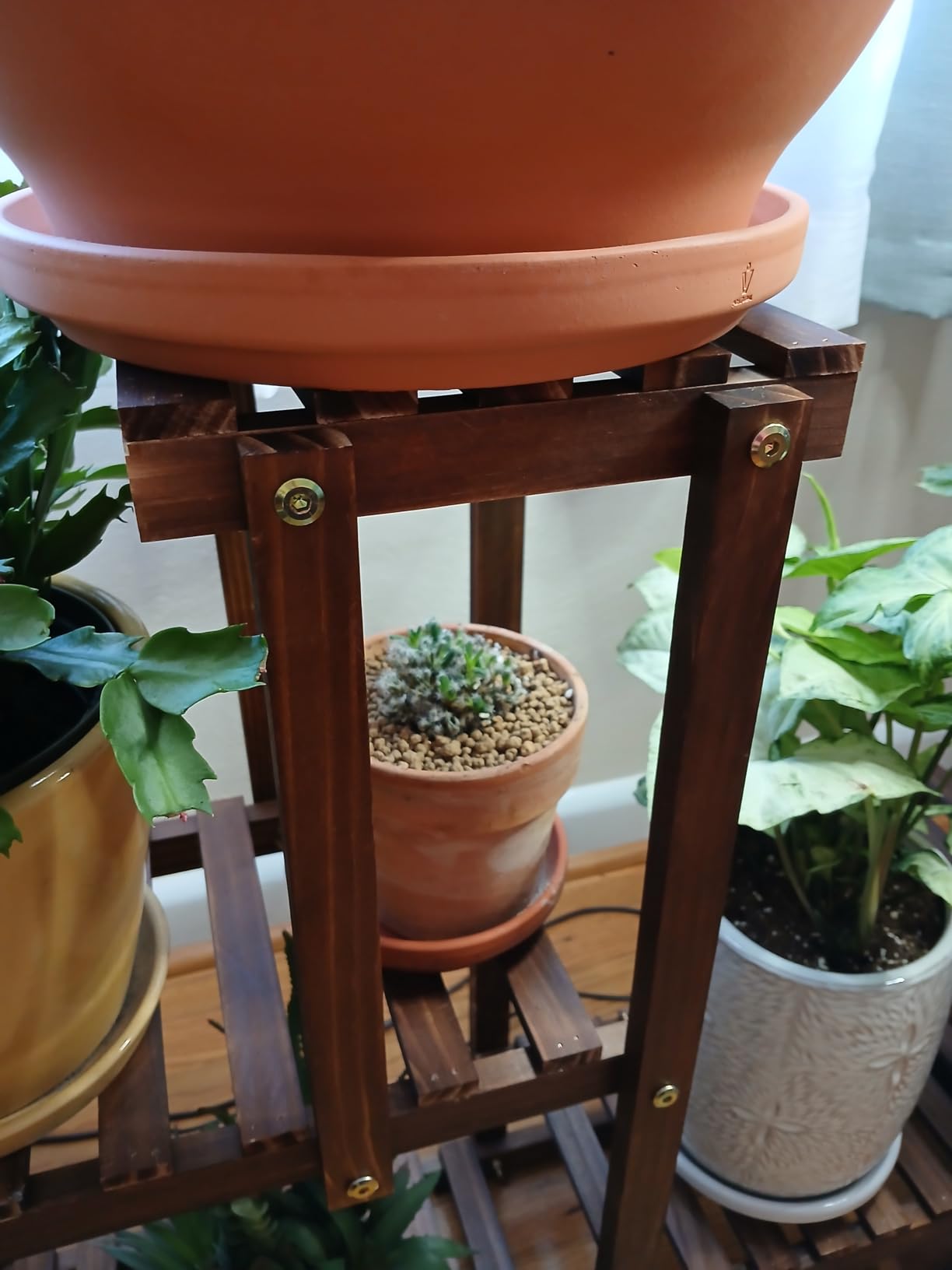 Pine Wood Plant Stand Indoor Outdoor Multi Layer Flower Shelf Rack customer photo 2