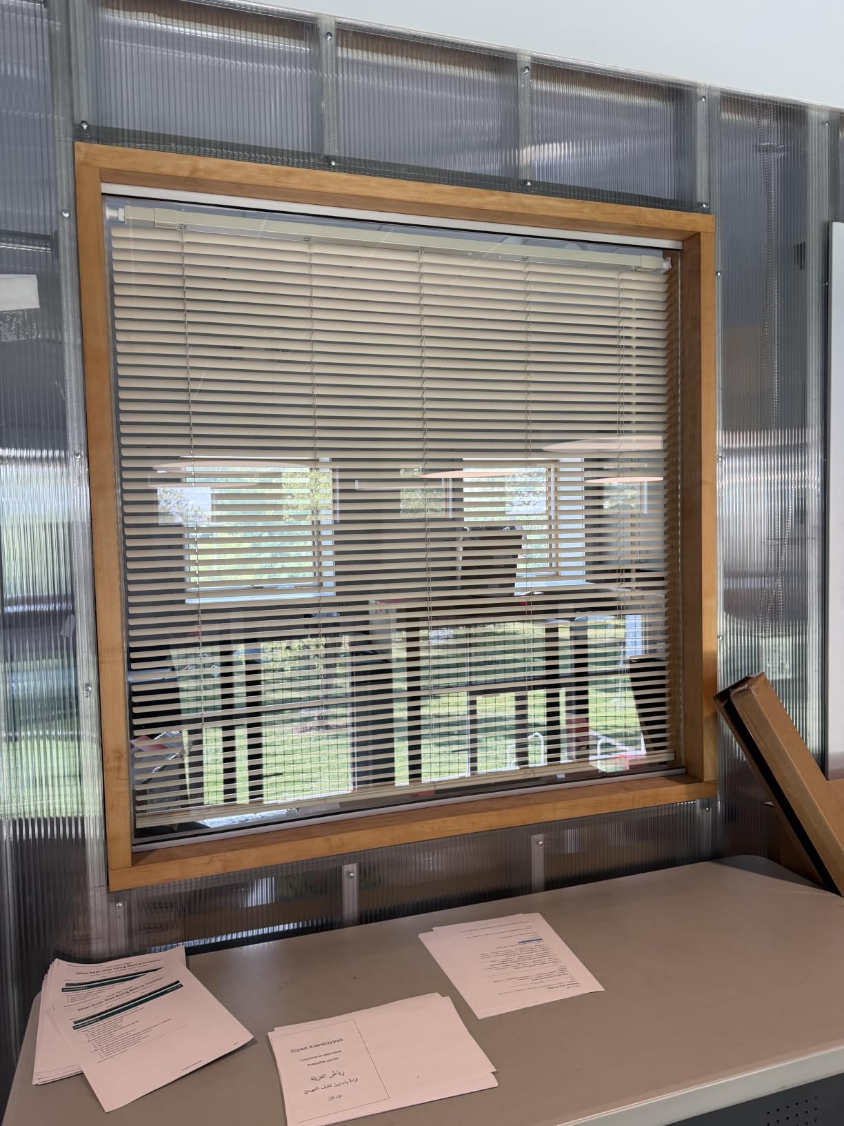 CHICOLOGY Cordless Mini Blinds for Indoor Windows, 35