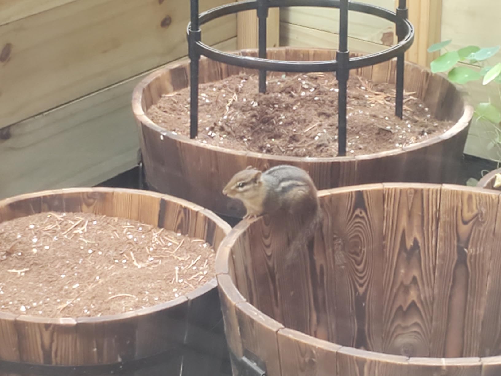 VINGLI 3 PCS Large Wooden Planter Barrel Set, 11.5