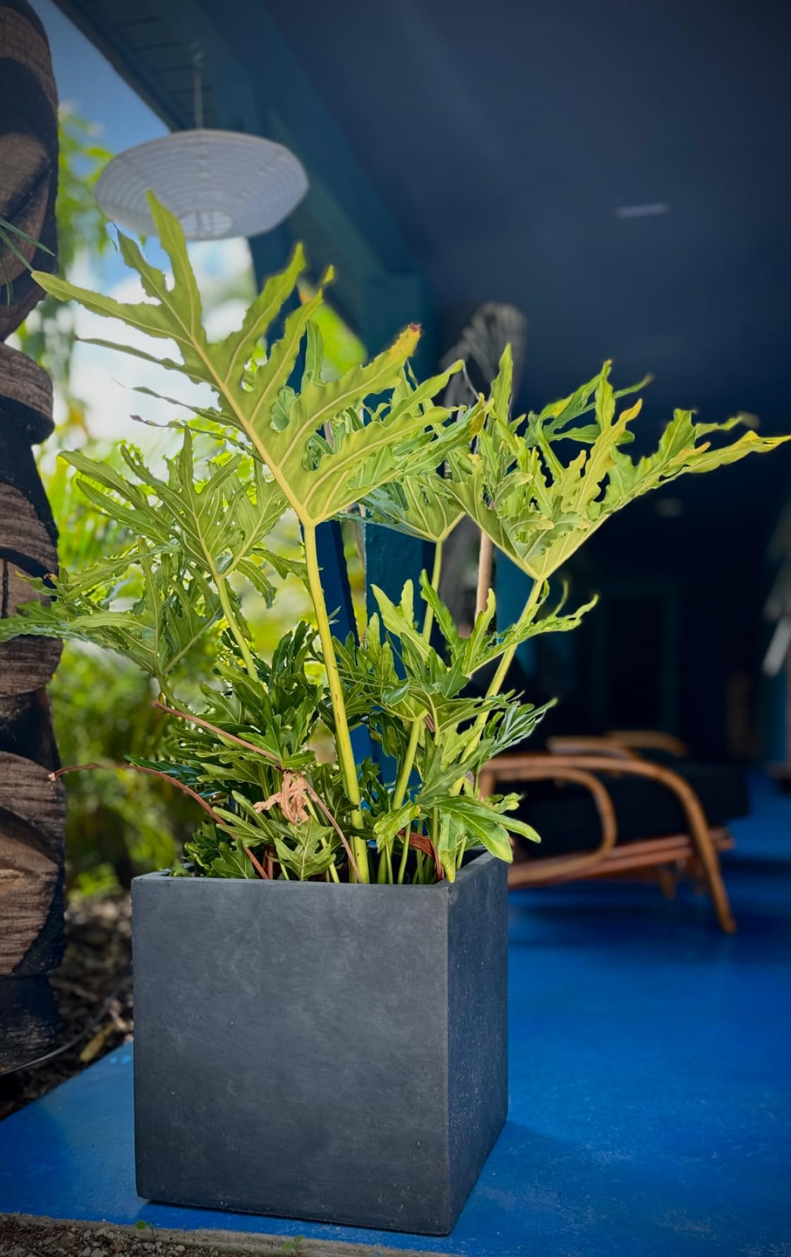 Kante Accent Square Charcoal Concrete Planter 12