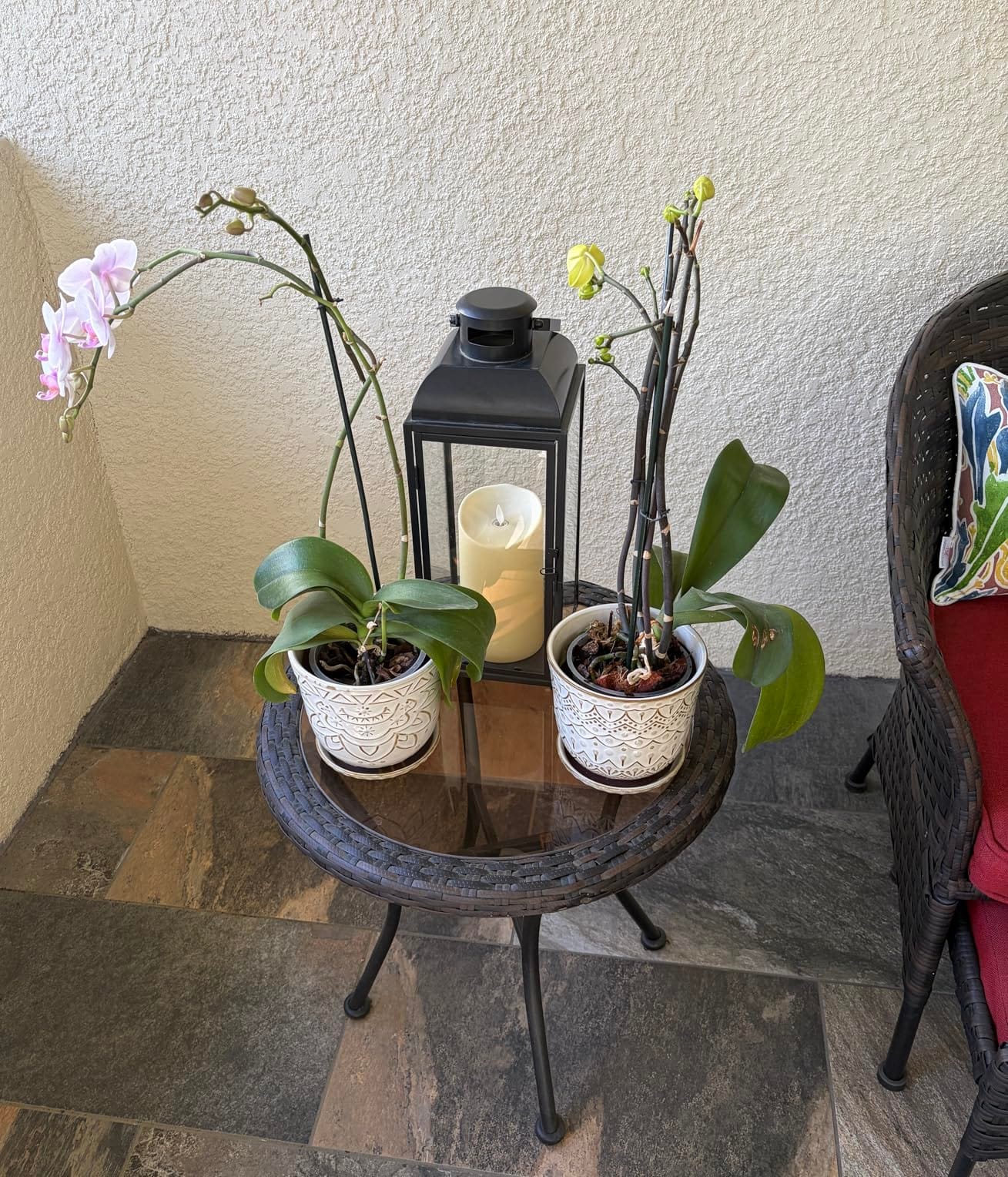 Gepege Ceramic Plant Pots, 6 Inch Indoor Planters with Drainage & Saucers customer photo 2