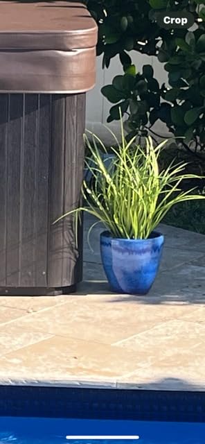 Sunnydaze 13.5-Inch Round Outdoor Glazed Ceramic Plant Pot - Imperial Blue customer photo 2