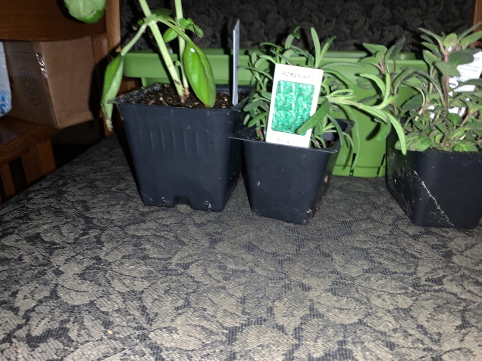 OurWarm Windowsill Herb Planter Box Indoor Set of 3, 10.5 Inch Self Watering Planter Pots with Visual Water Level Window, Modern Plastic Plant Pots for Herbs, Vegetables, Succulents Plants customer photo 1