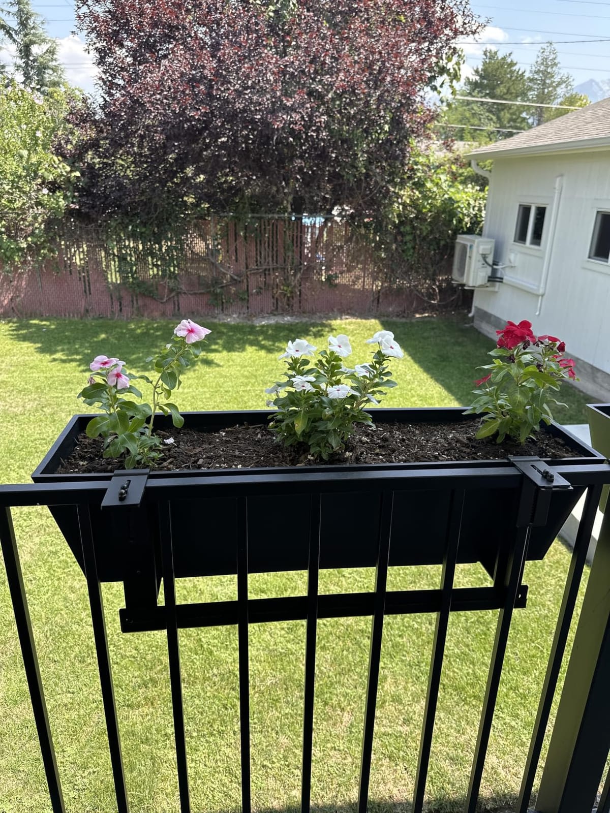 Veradek Pure Series Railing Planter - Tapered Window Box with Bracket customer photo 2