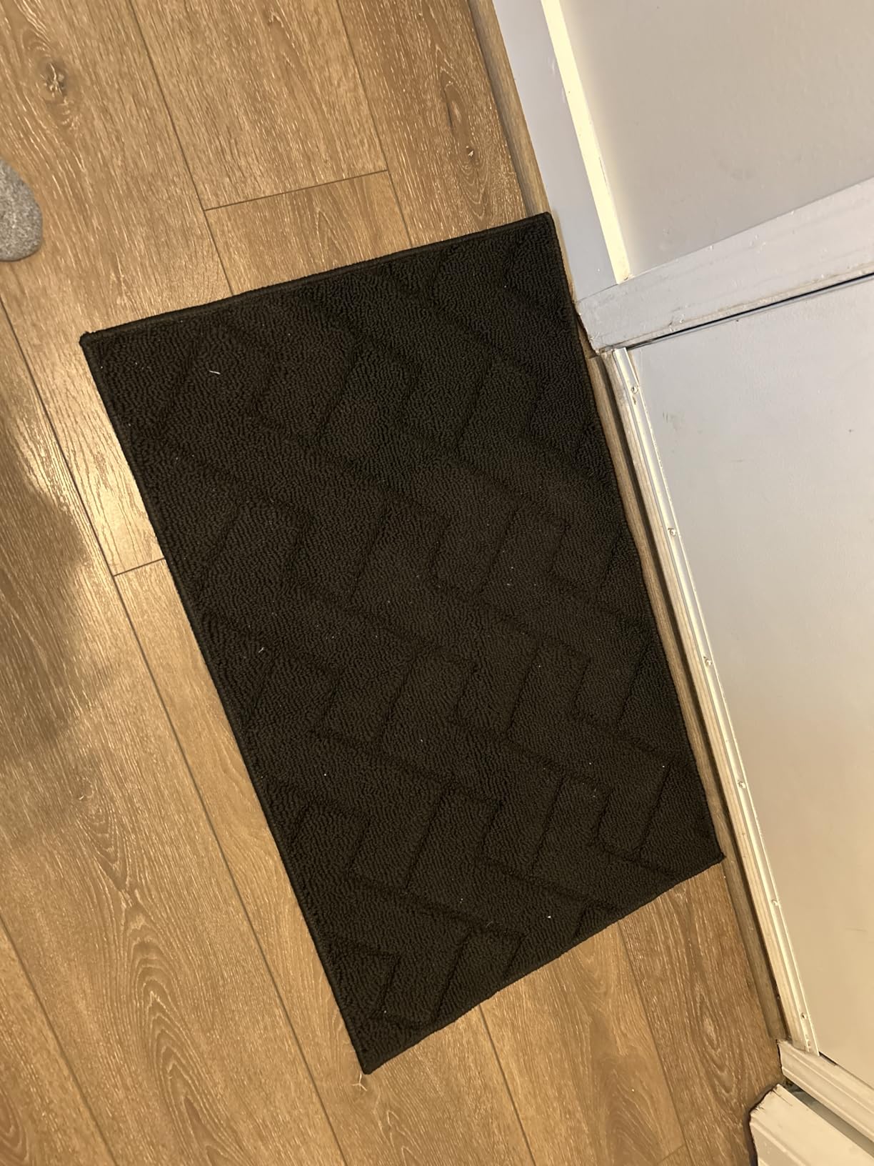 hicorfe Dirt Trapper Indoor Doormat,20