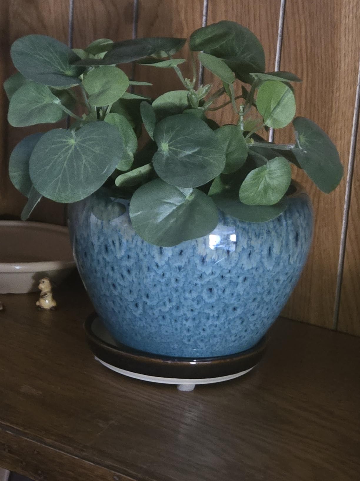 Ceramic Modern Glaze Succulent Planter Pot with Drainage Hole and Saucer 6 Inch Round Flower Plant Pot for Indoor Outdoor Herb Snake Plants customer photo 1
