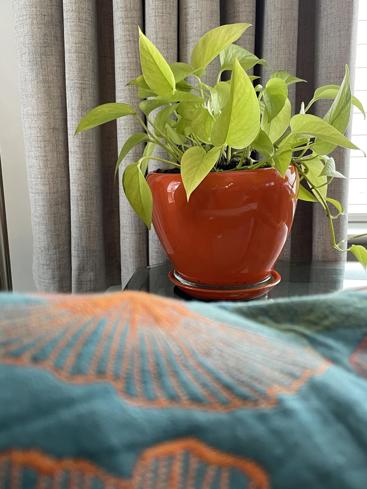 Ceramic Modern Glaze Succulent Planter Pot with Drainage Hole and Saucer 6 Inch Round Flower Plant Pot for Indoor Outdoor Herb Snake Plants customer photo 2